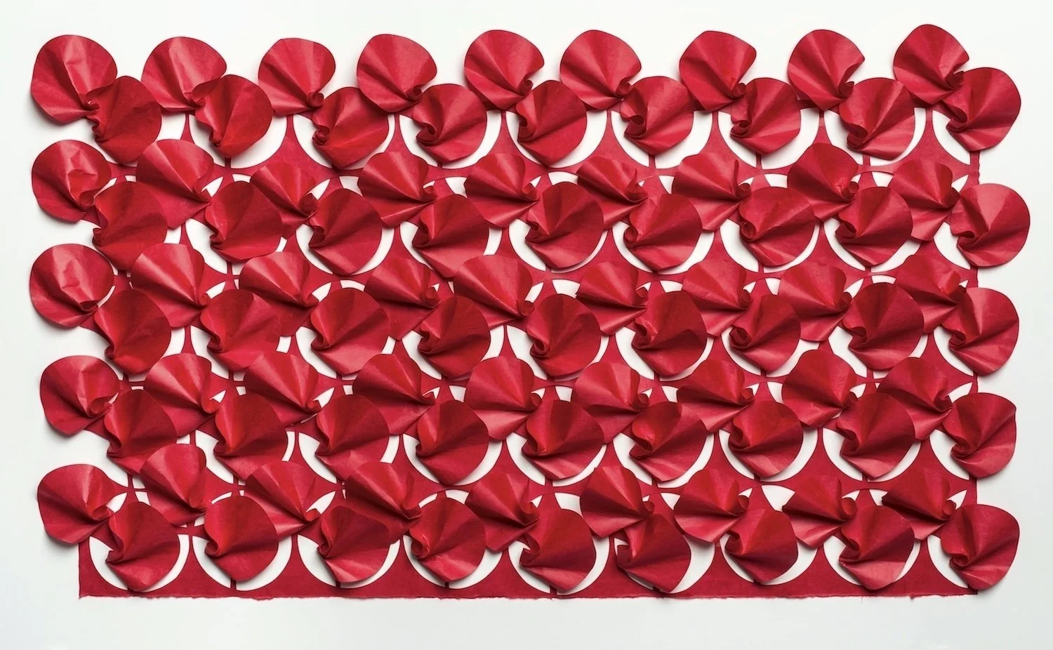 Rush 40 1/8” x 23 5/16” x 1” 