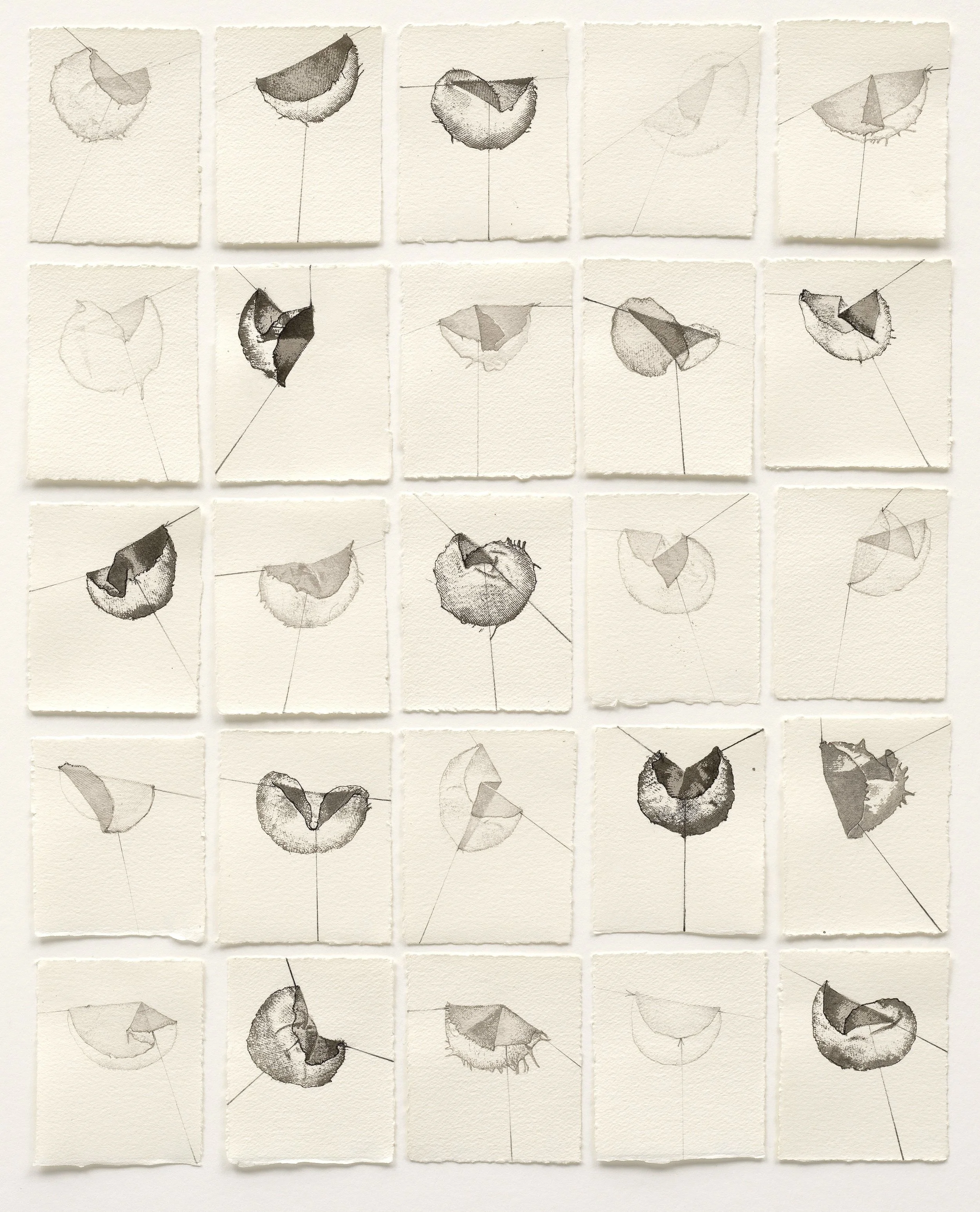  Diagramming a Fold x25 