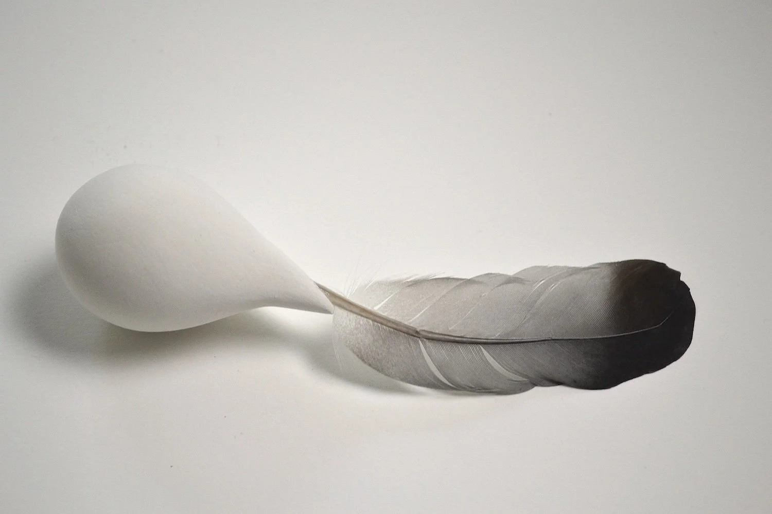  Untitled (Icarus 1) plaster, feather 2” x 5 3/4” x 1 3/8” 