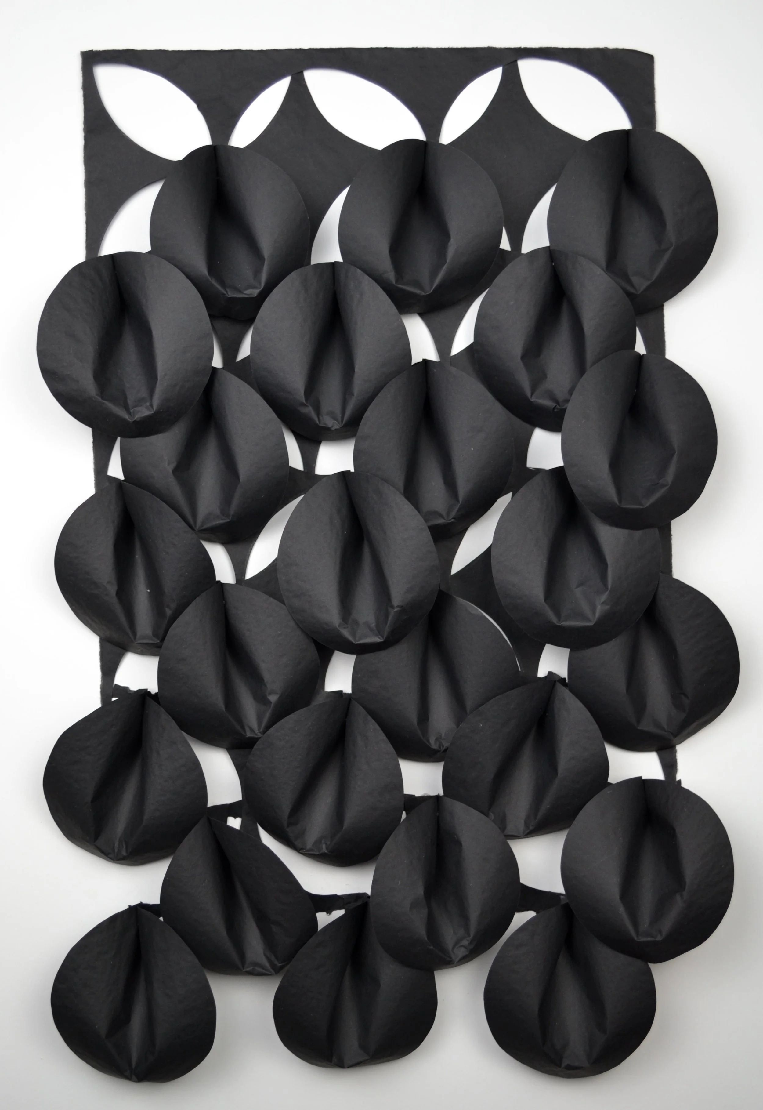 littleblackvenus2 copy.jpeg