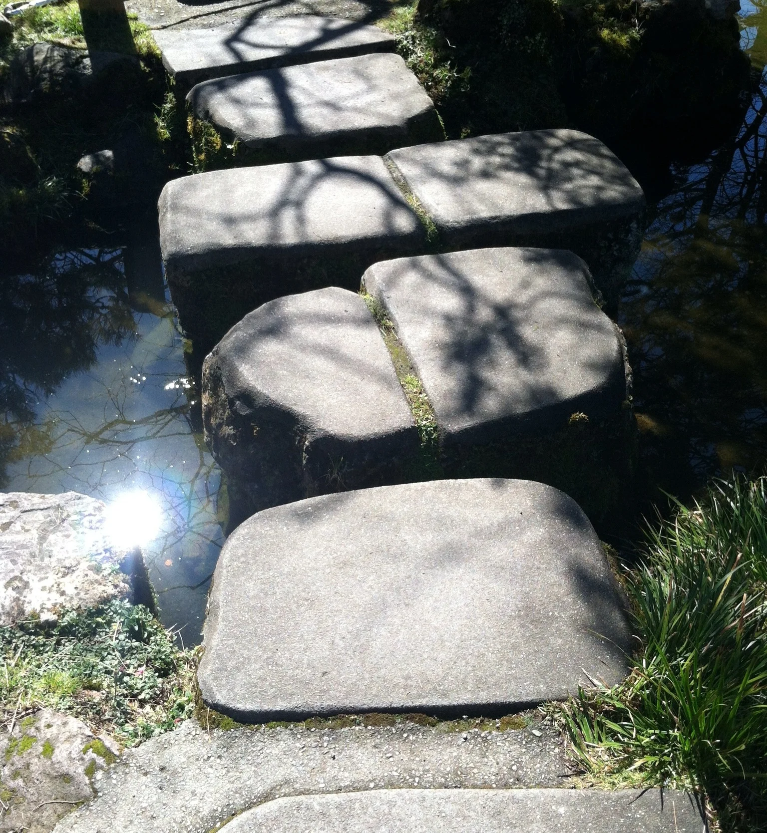 2013-03-01 12.03.21-1.jpg