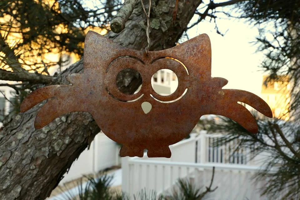 Owl.jpg