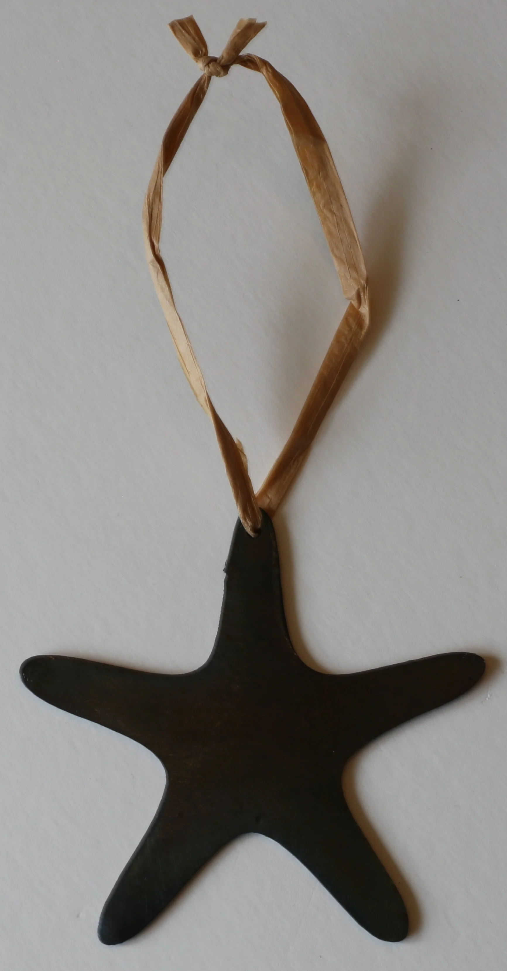 Starfish Charm/Ornament