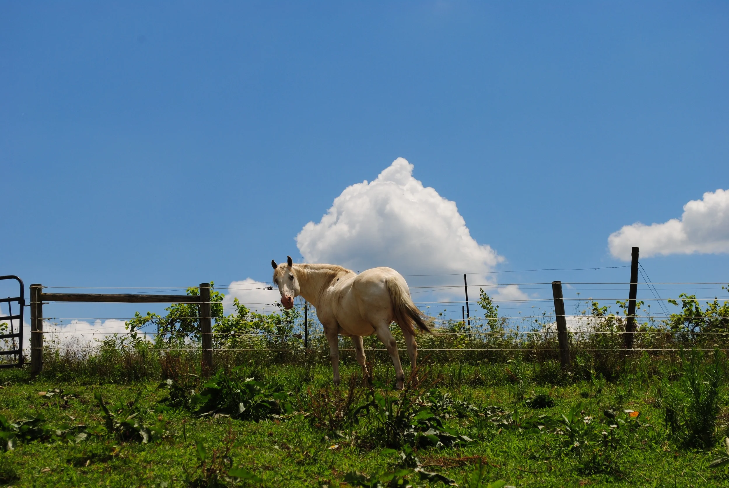 Landowners: Can I use renewable energy and maintain Clean and Green status?