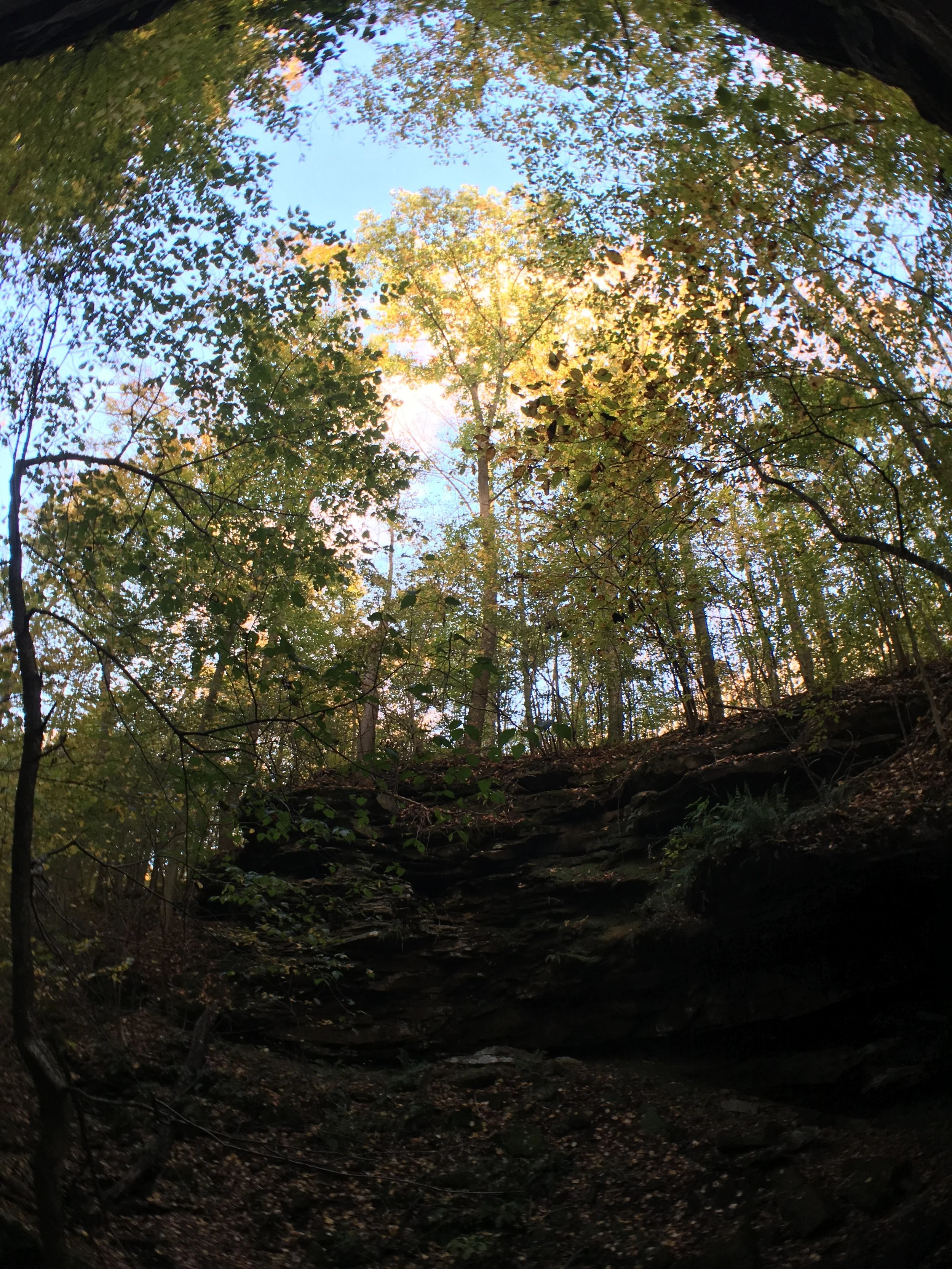 Fair Shake & Community Groups File Protest Letter to Protect Ohio’s Only National Forest from Oil and Gas Development