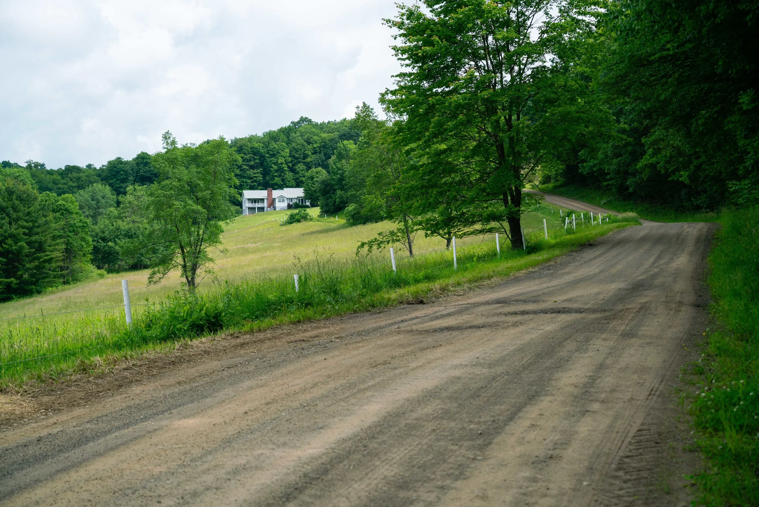 The Long Road Home: Siri's Saga for Justice