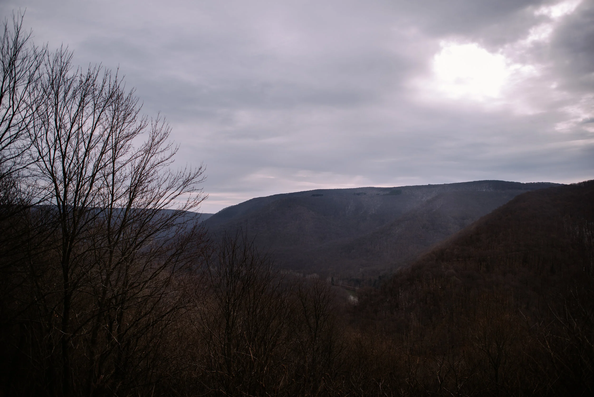 051_SAW8278.jpg