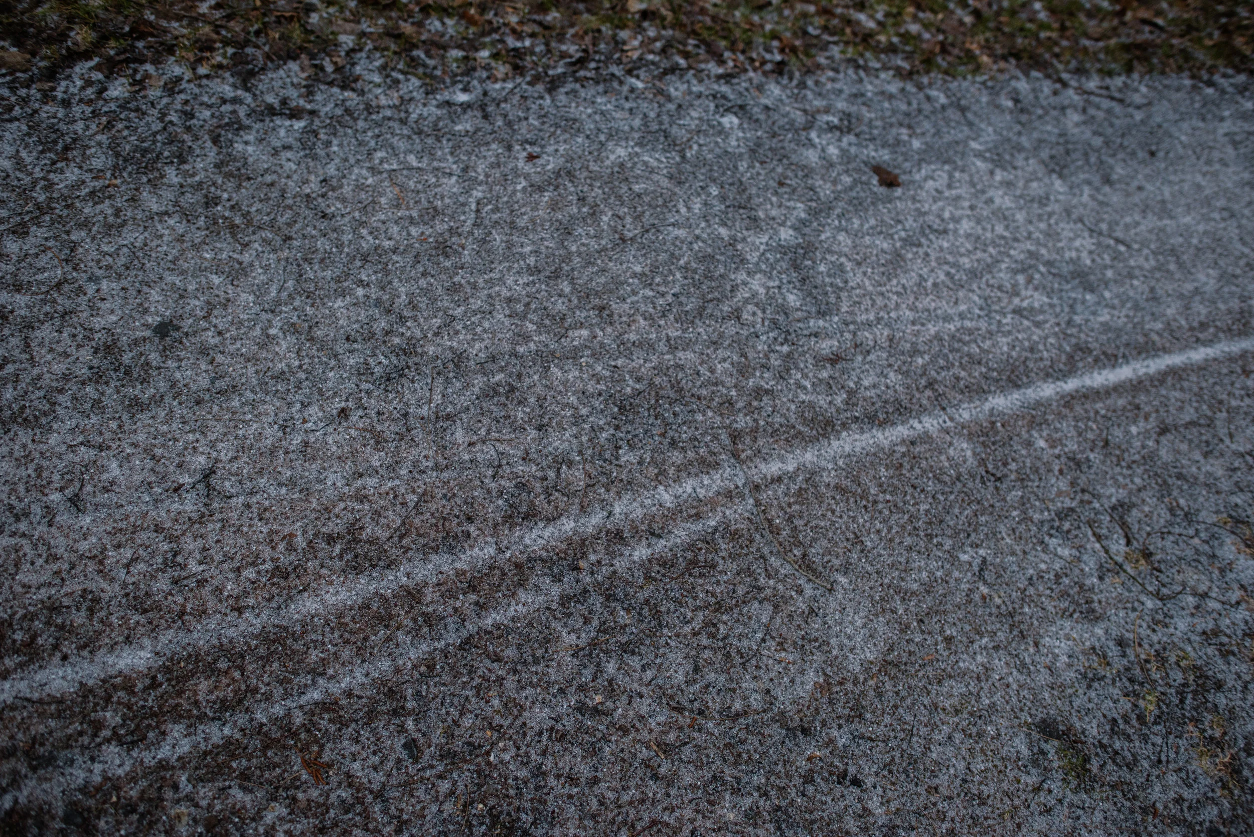 060_SAW8405.jpg