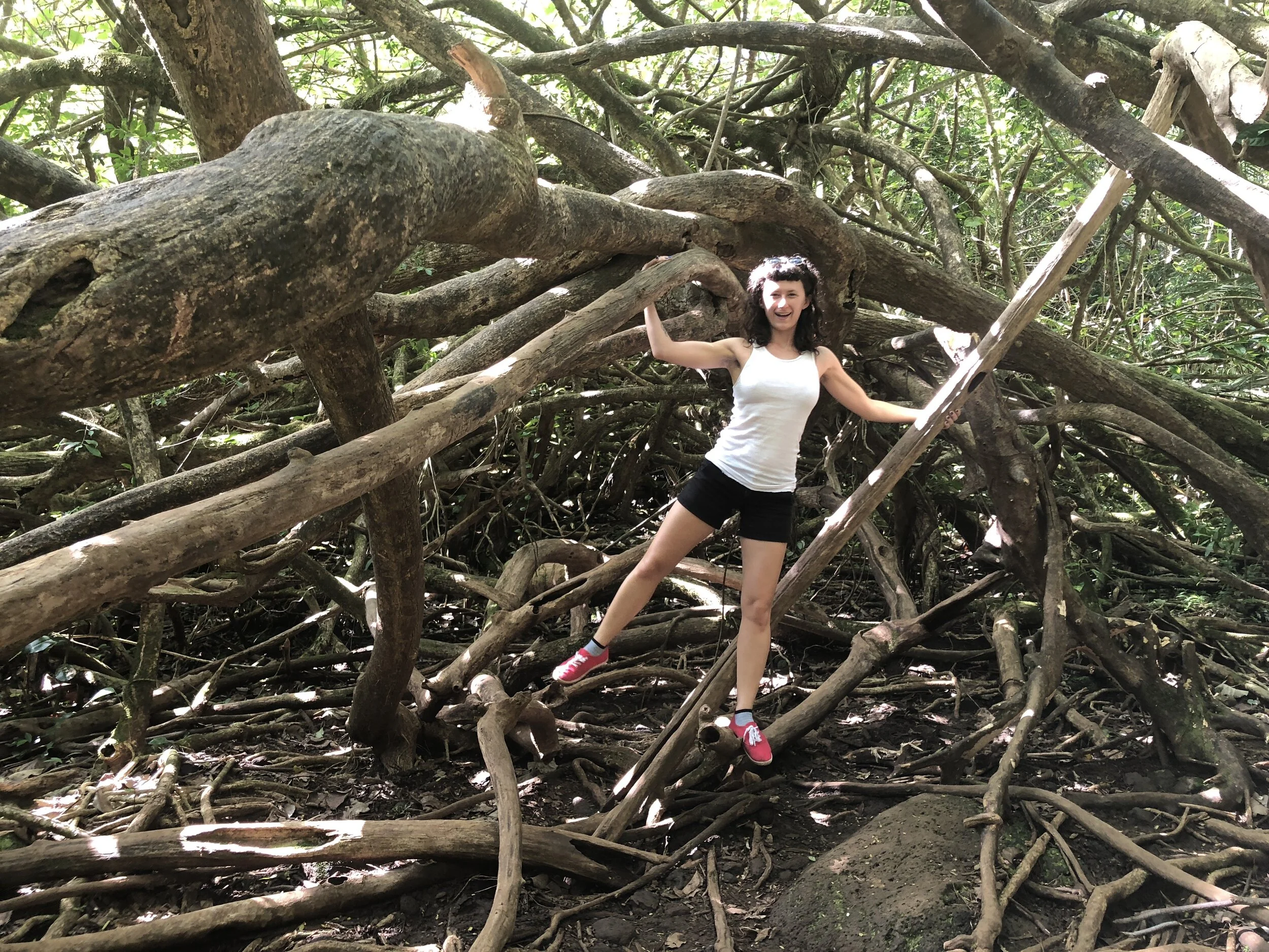 Intern Spotlight: Emily Rollins