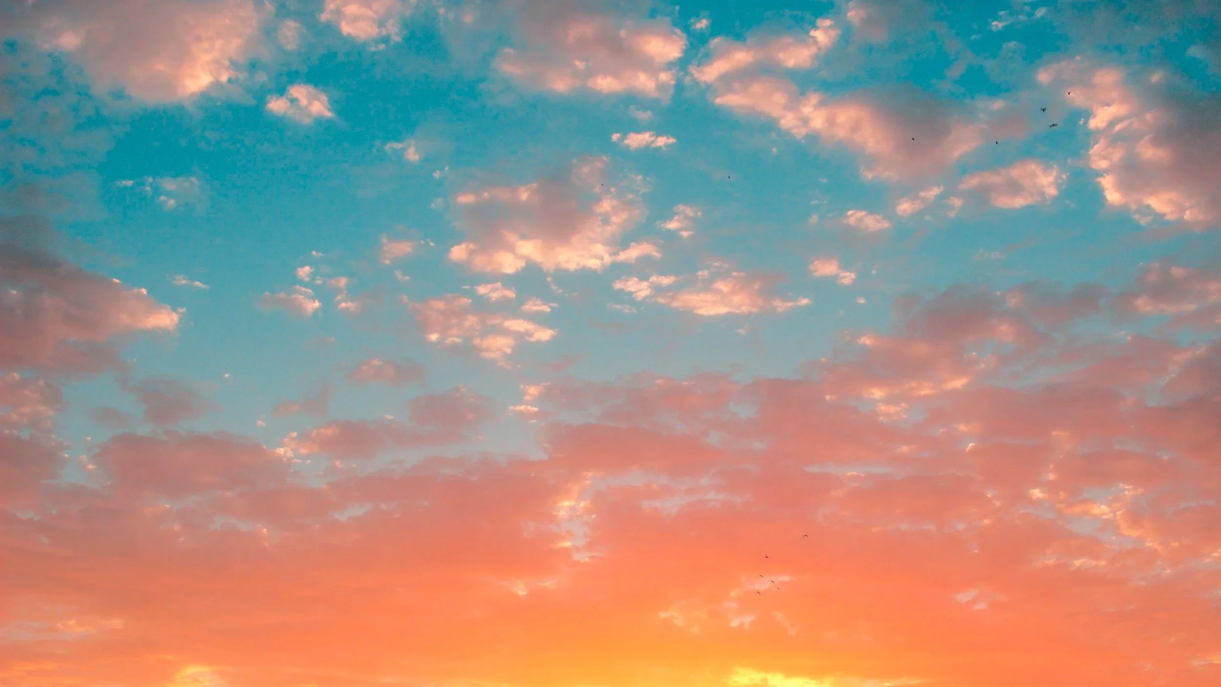The world around us: How does our environment affect our mental health?
