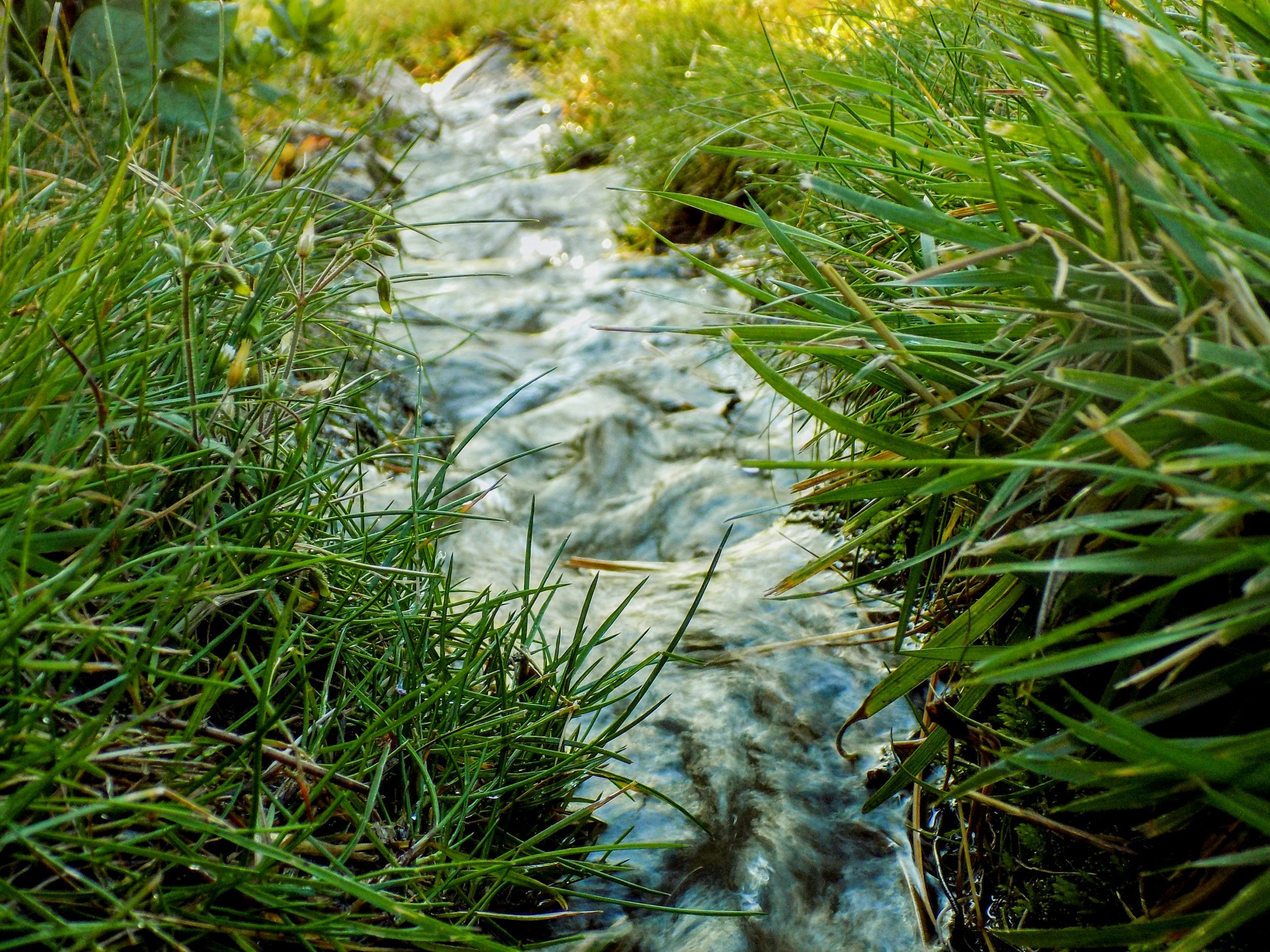 I live in Ohio…There's a Stream On My Property... What Can I Do?