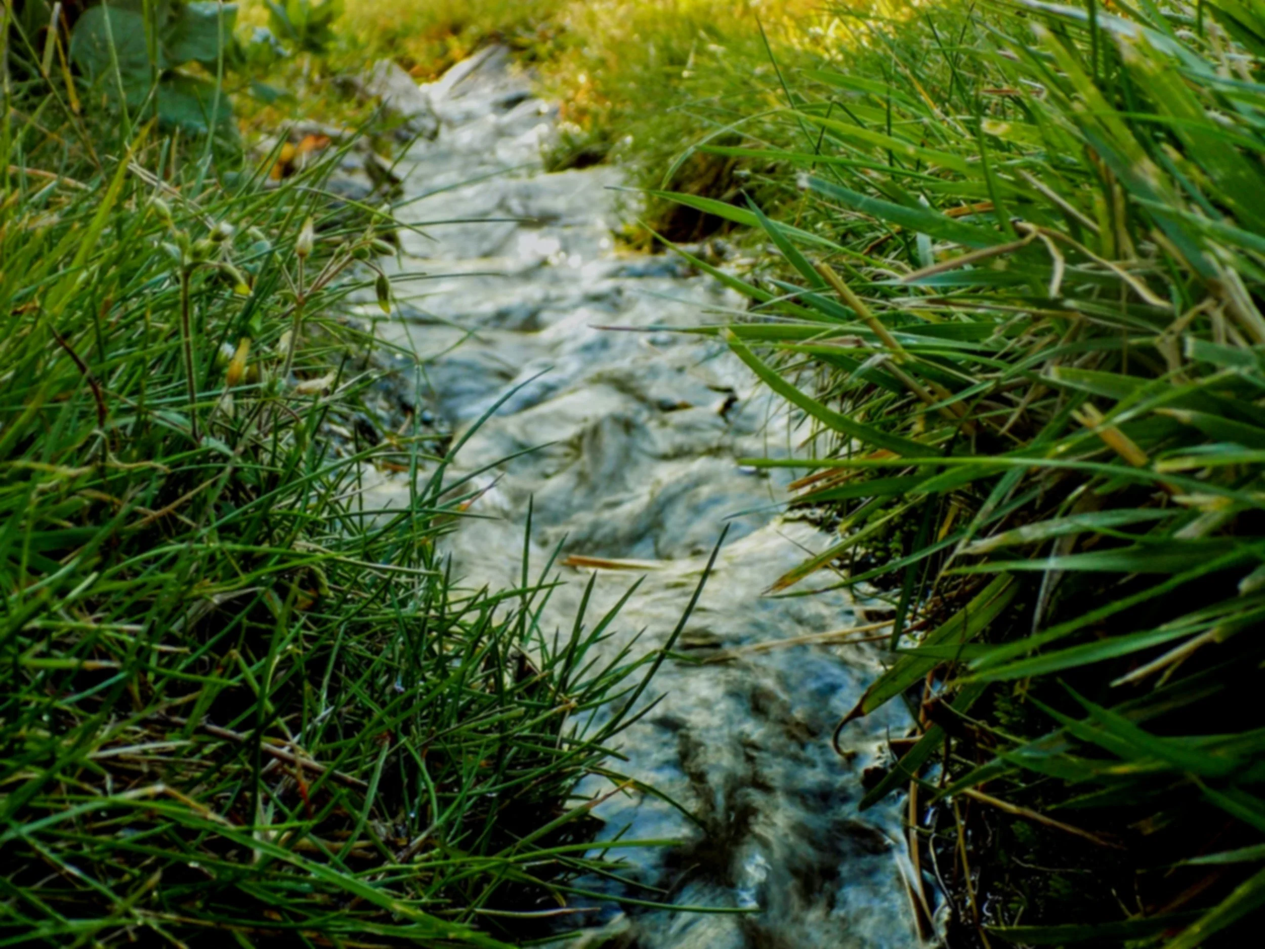I live in Ohio…There's a Stream On My Property... What Can I Do?