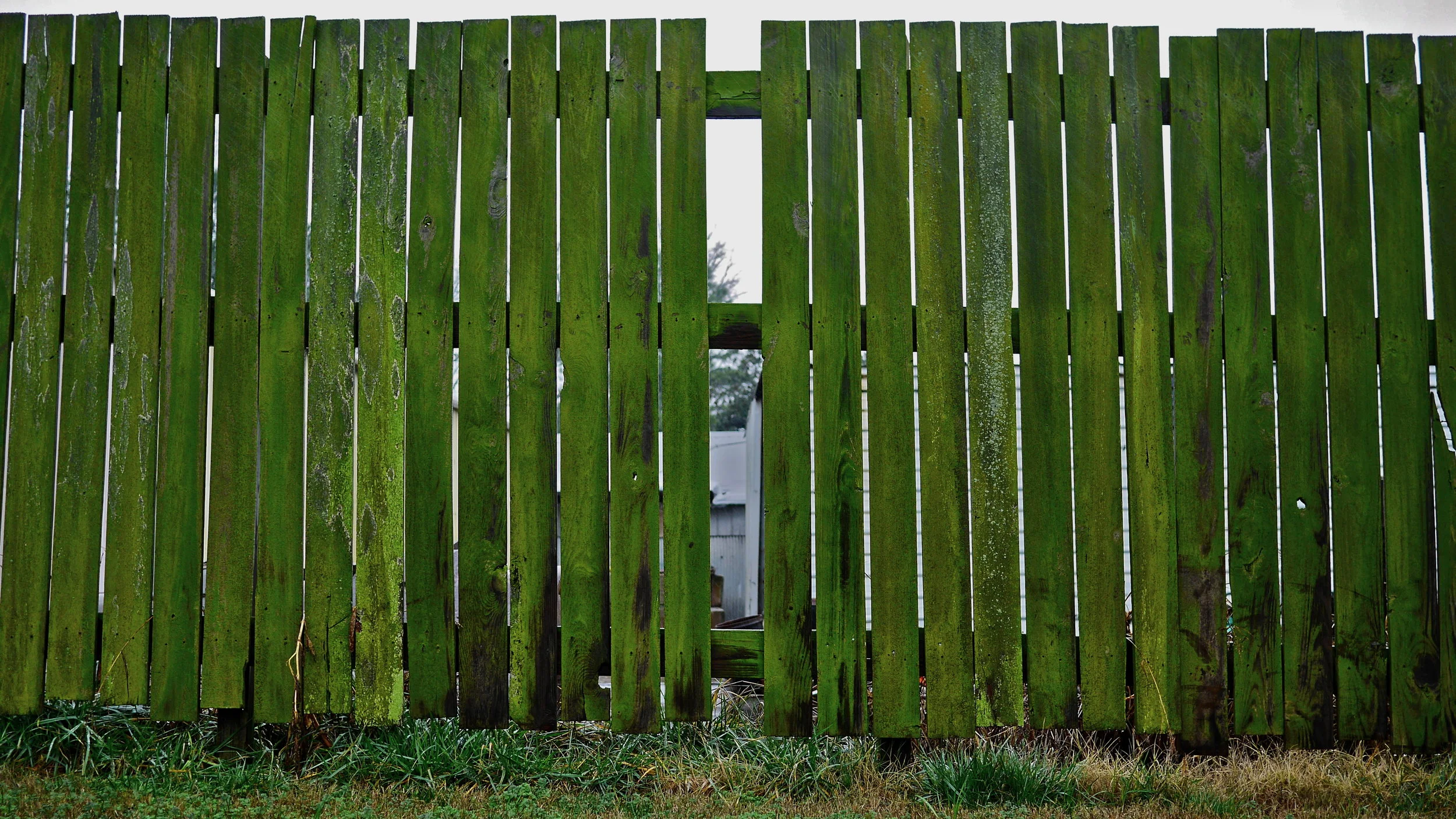 P1000465.JPG