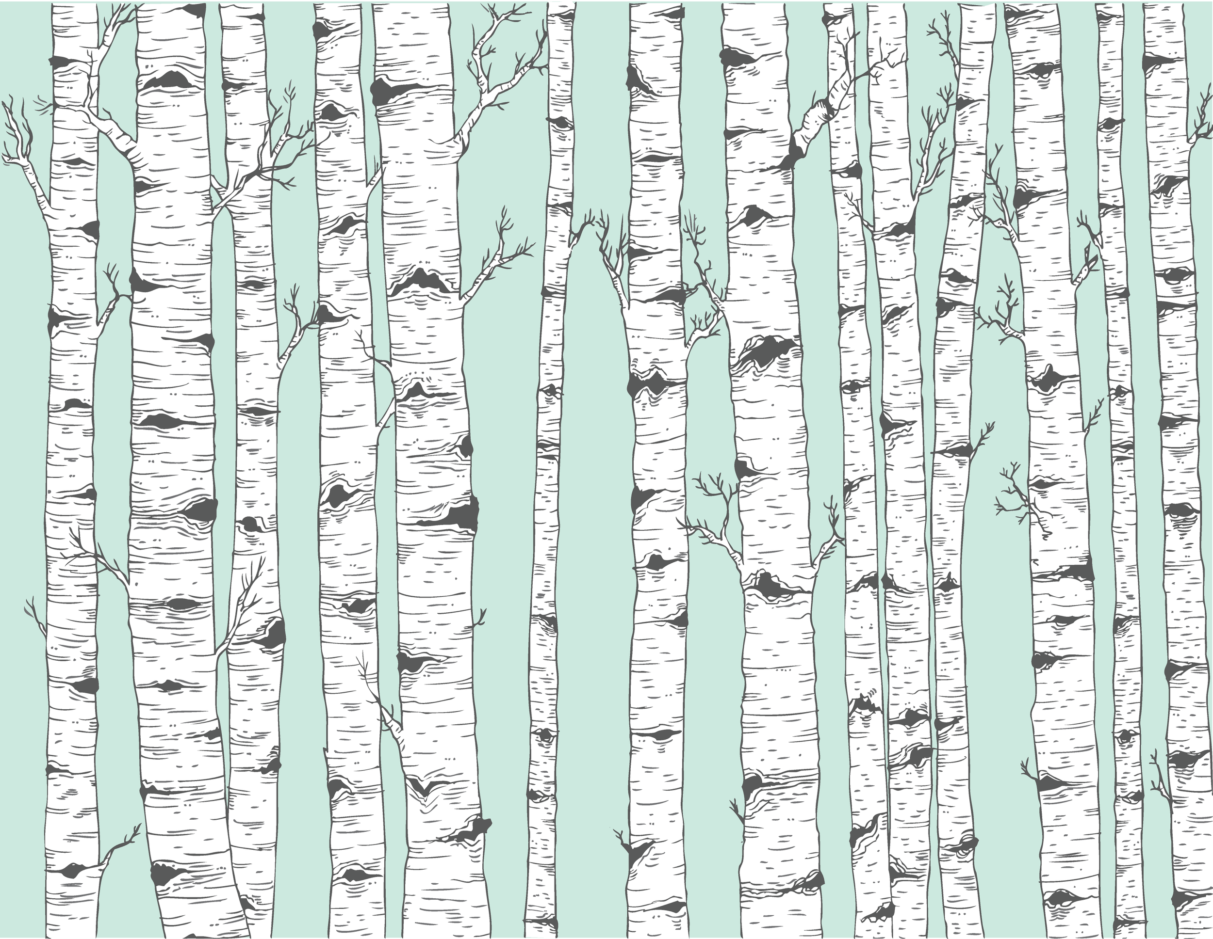 Birch Tree Vector.png