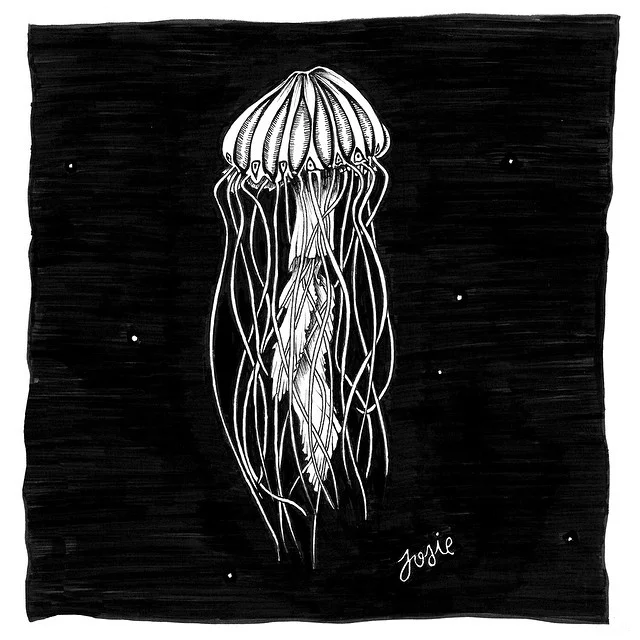 jellyfish3.jpg