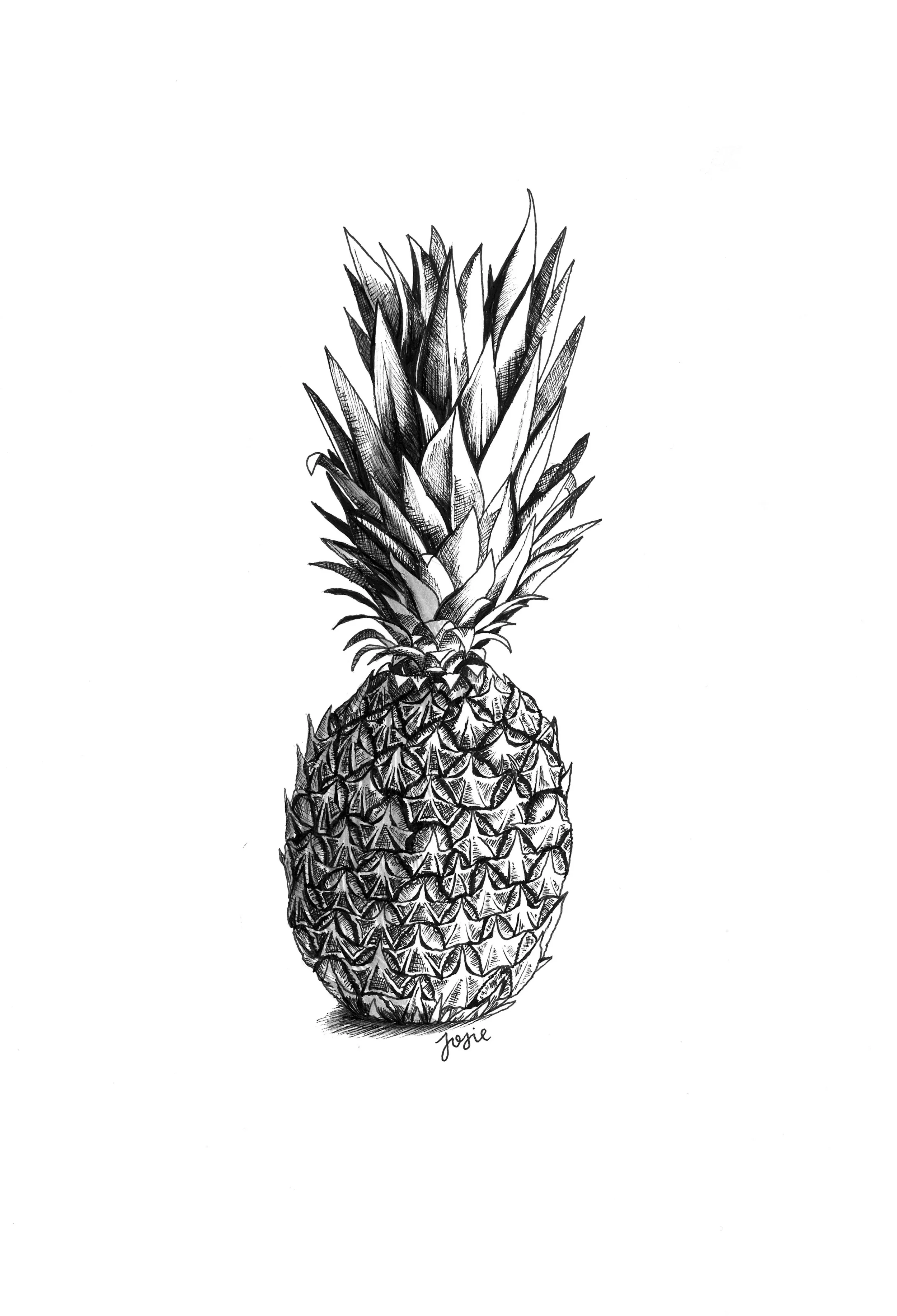 pineapple.jpg