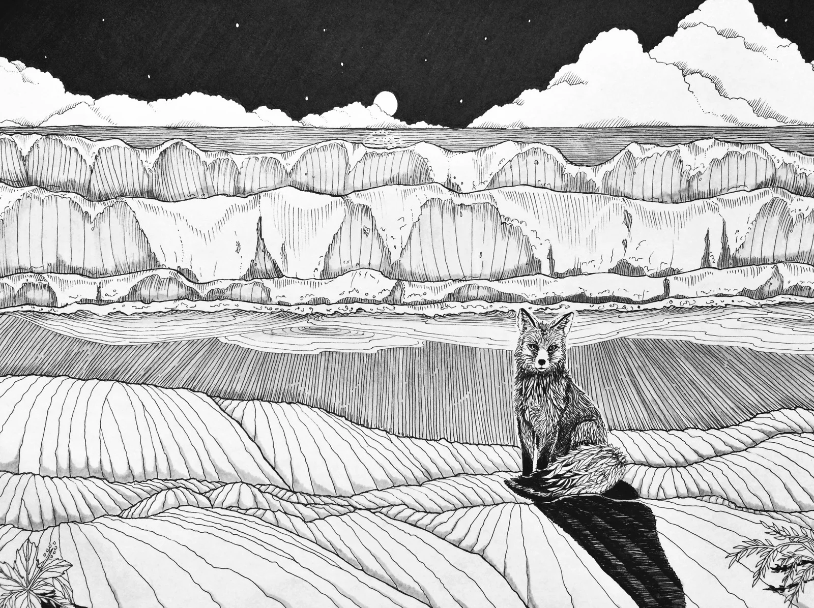 2015-08-06 13.45.08.jpg