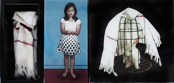 Little Fluffy, 2013, Mixed Media on 3 connected panels, 12" X 24" from "EVIDENCE"