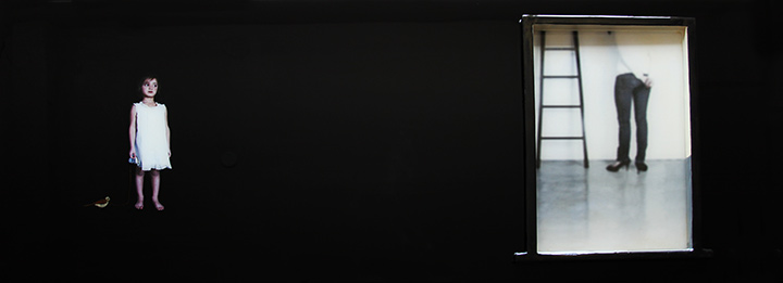 "The Bird", 2014, 24 X 60, Mixed Media embedded in resin