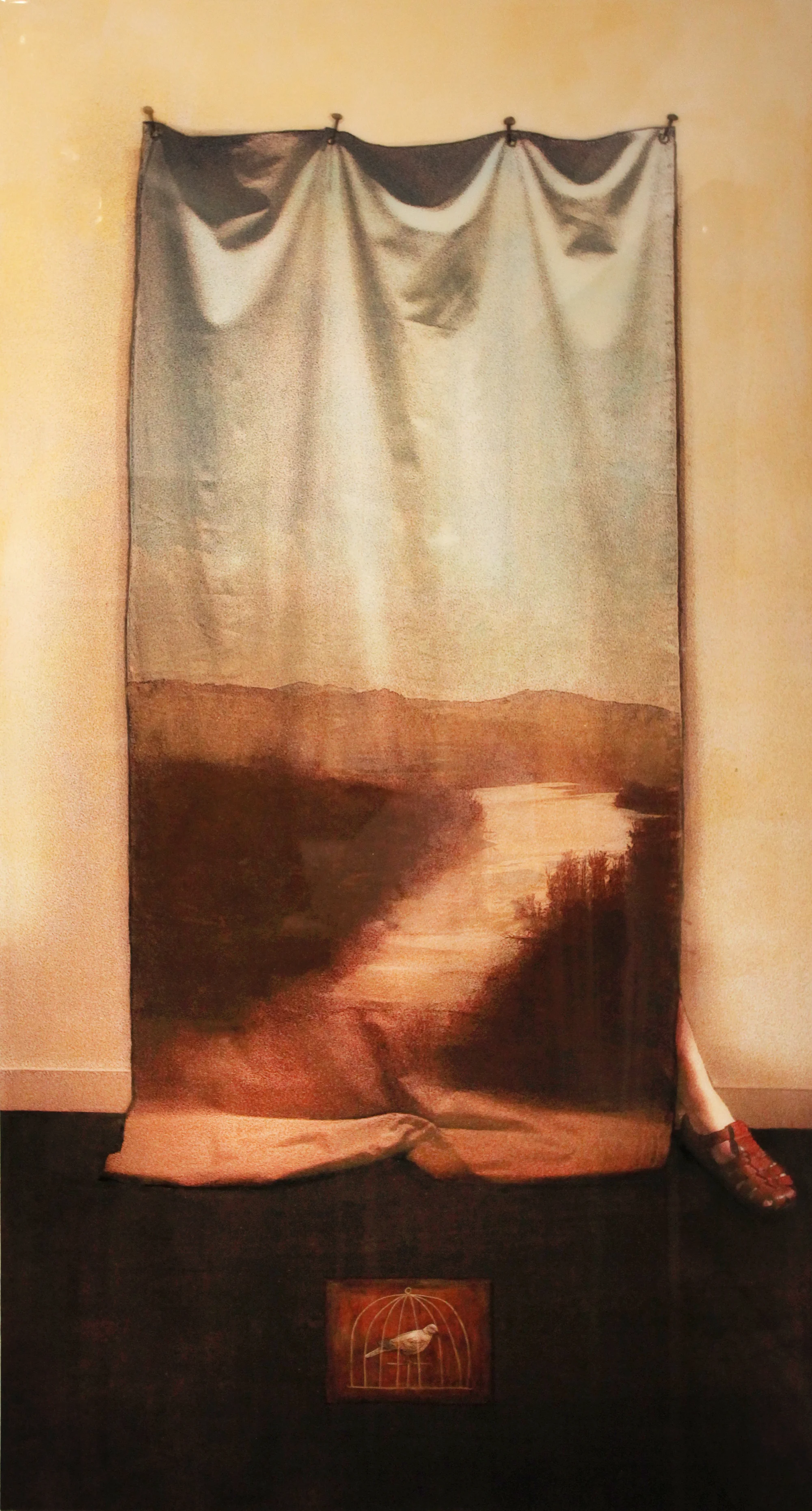 Capturing A Memory, 2014, 60" X 33" Mixed media embedded in Resin