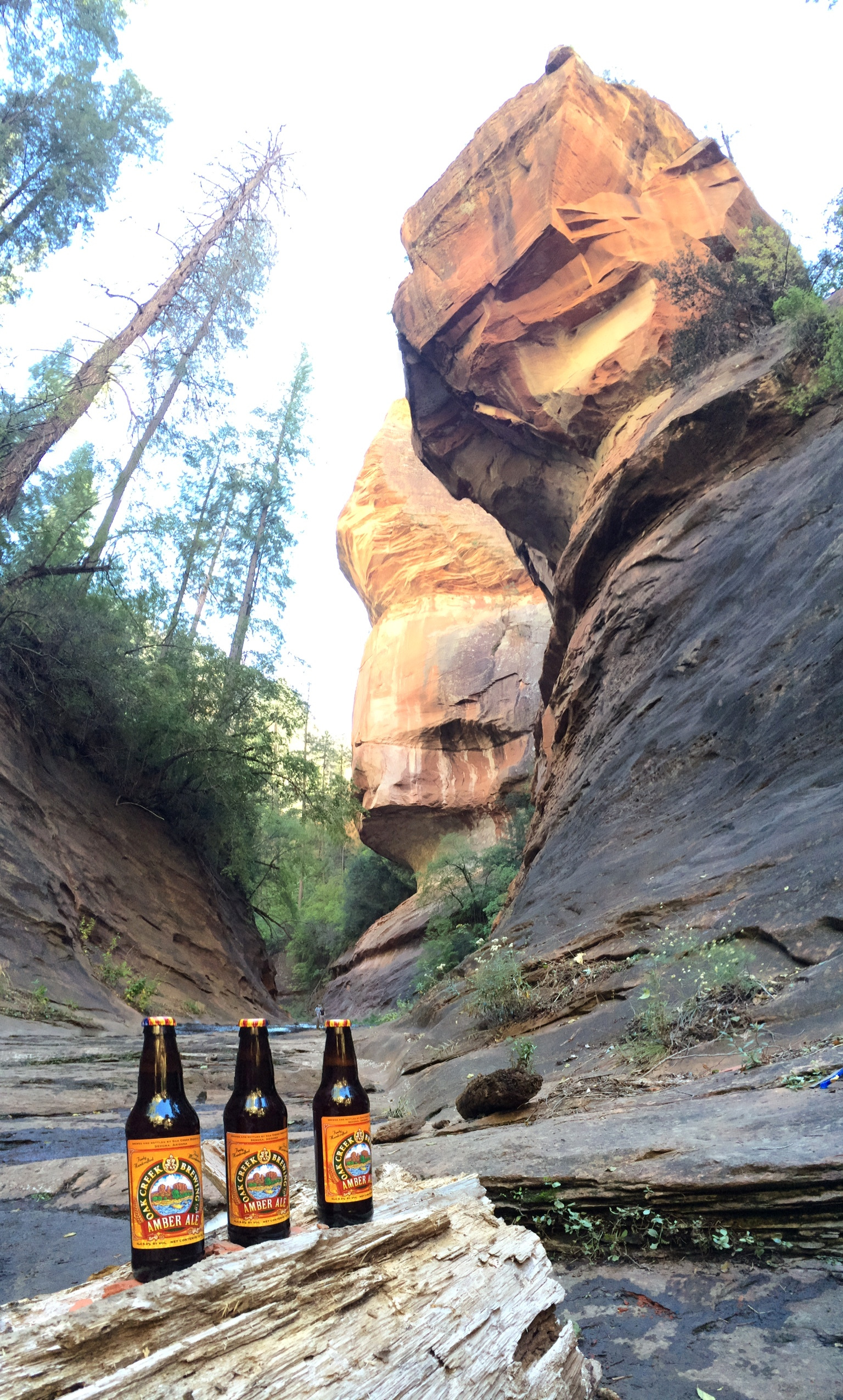 Oak Creek Canyon