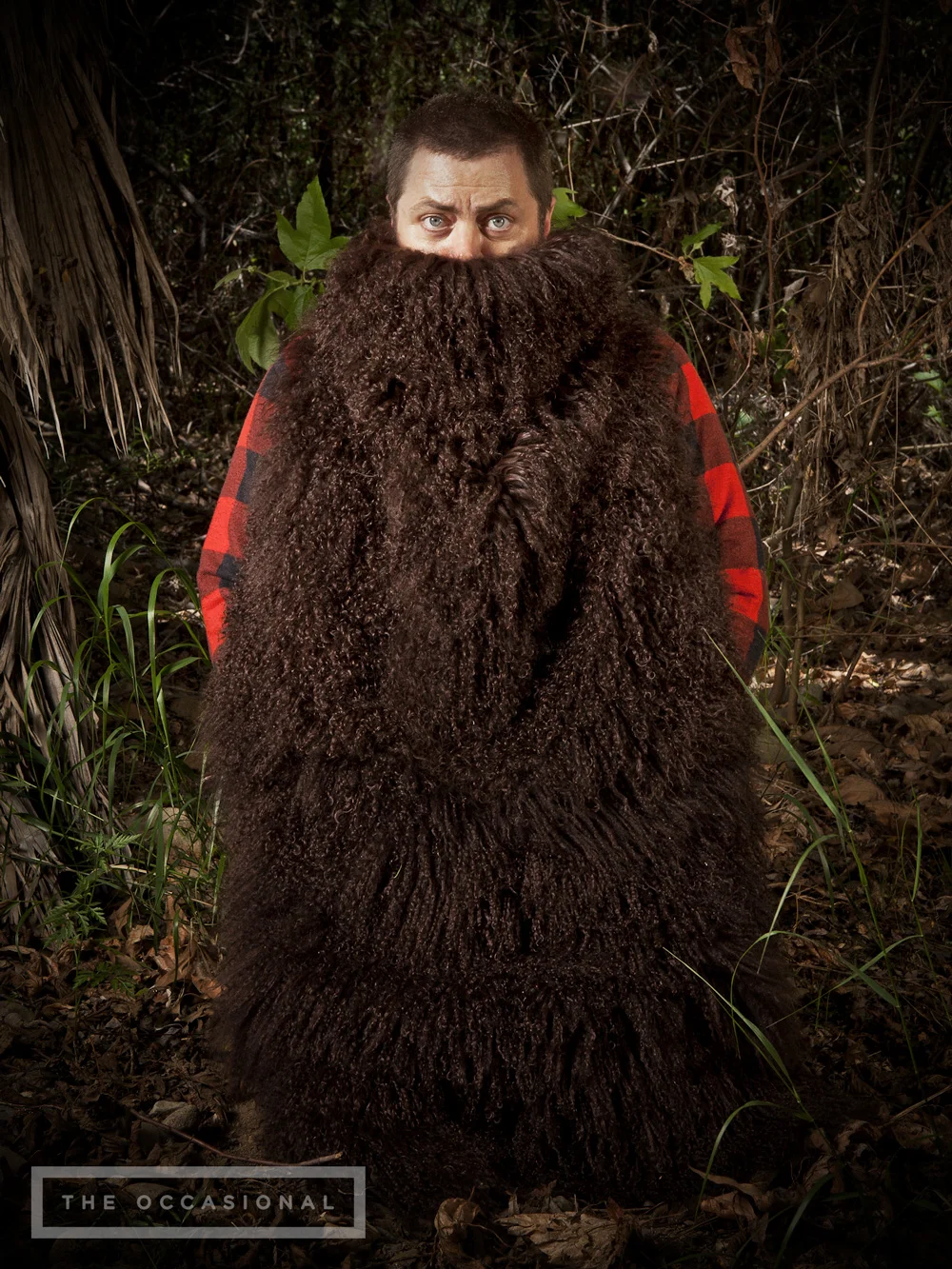 offerman-port2.jpg