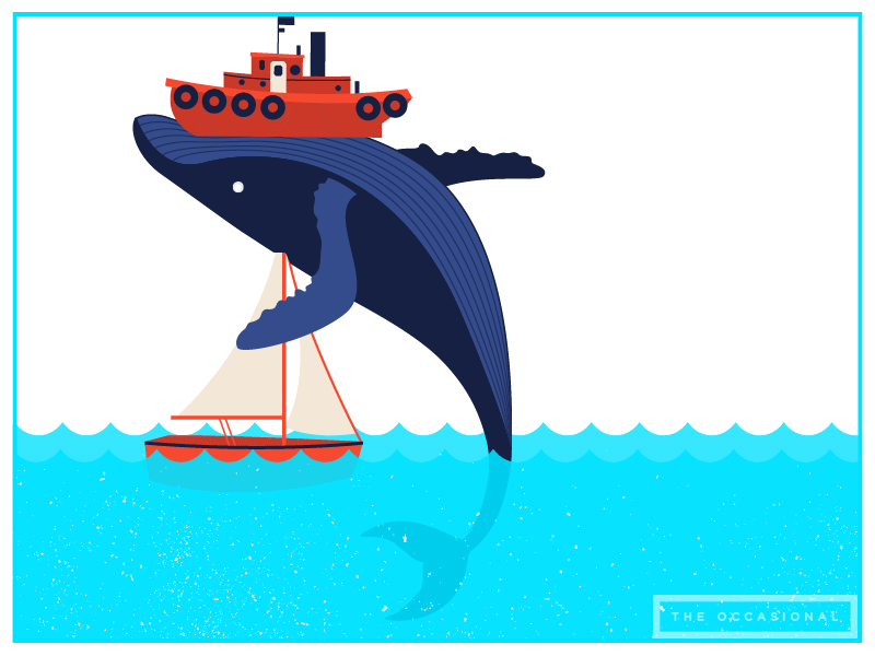 whale.gif