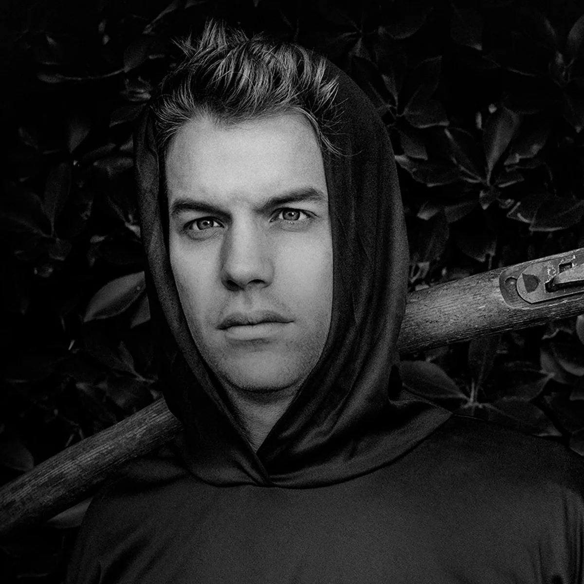 5 Questions with Anthony Jeselnik