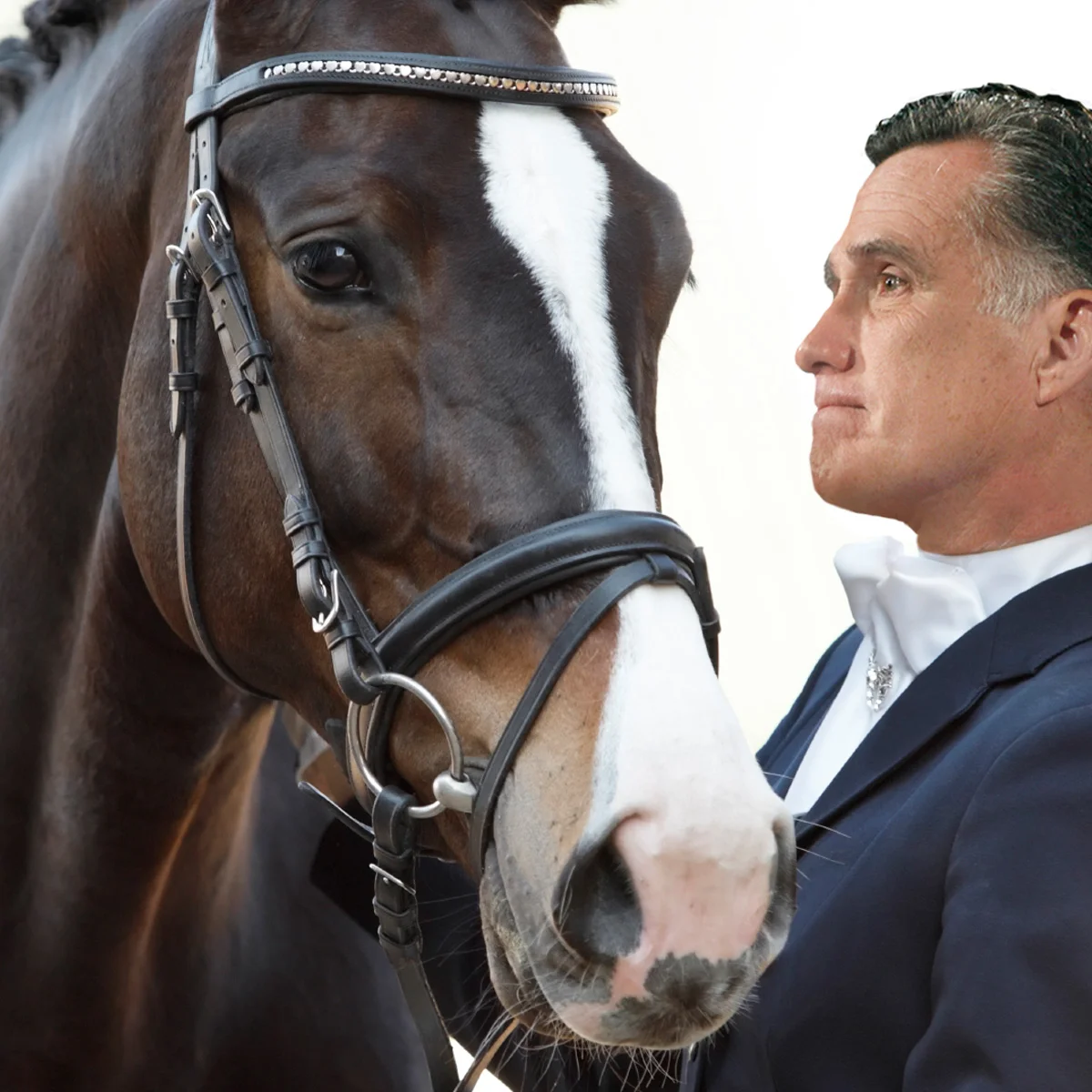 Horses Dish on Rafalca