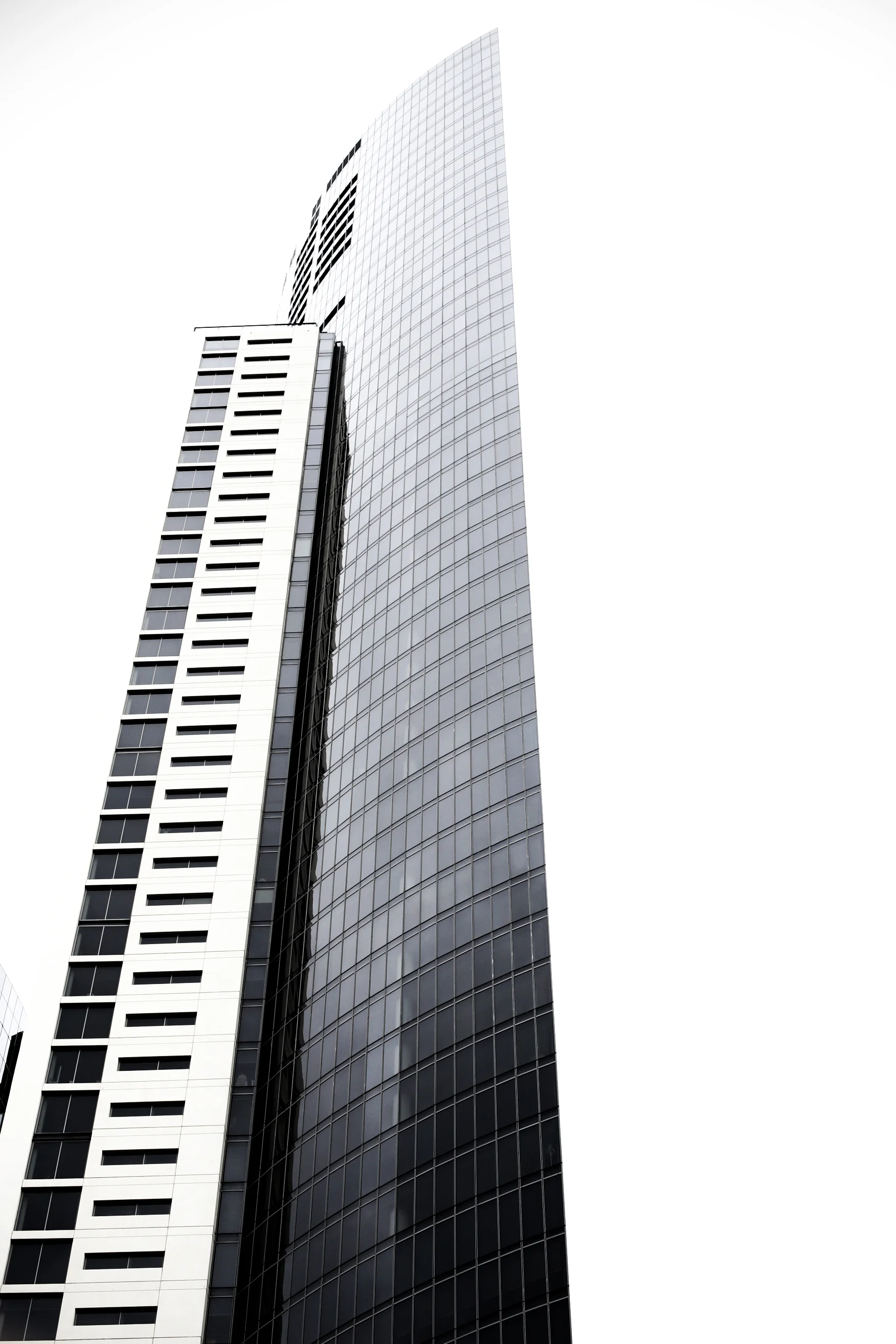 D01B4570.jpg