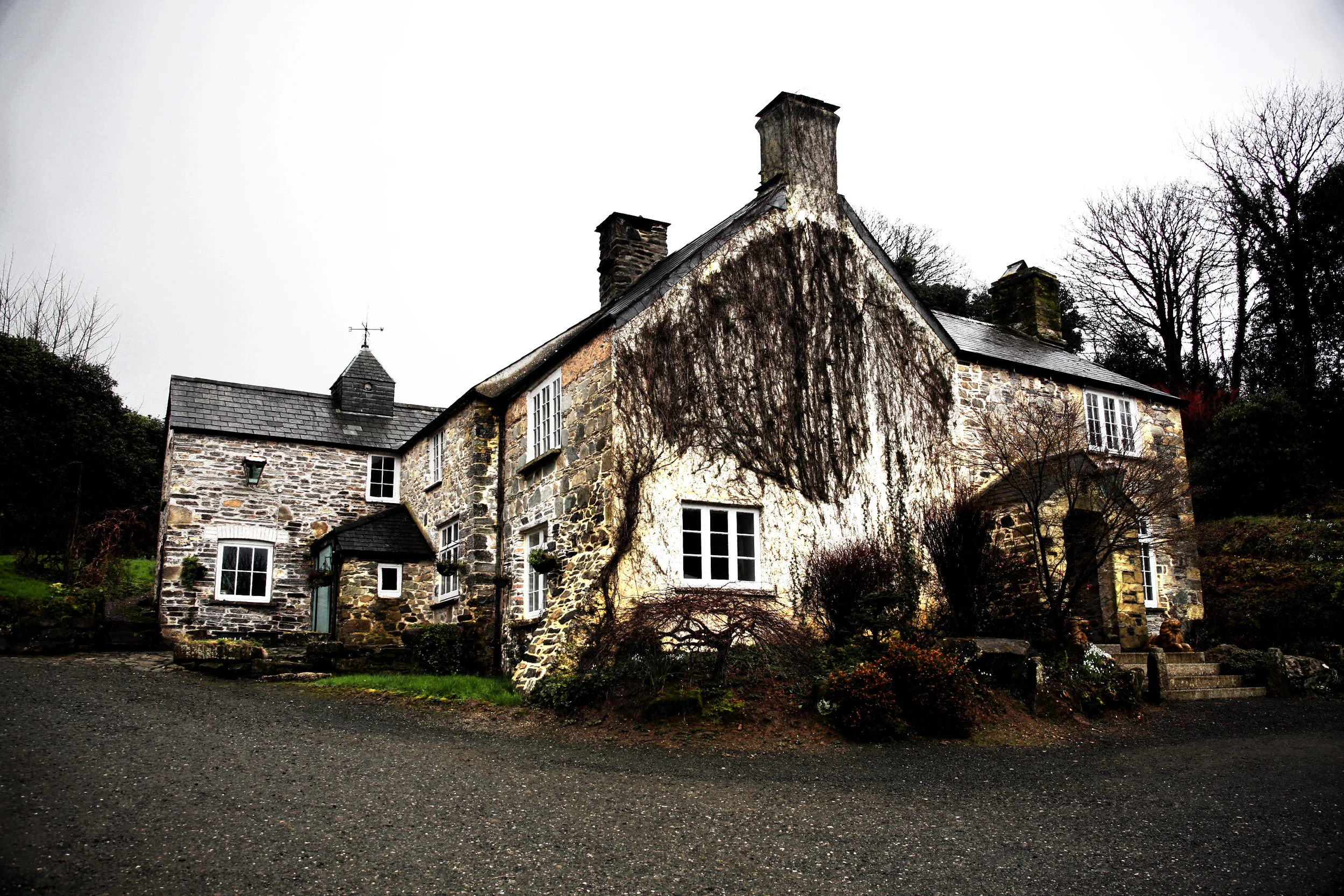 D01B4506.jpg