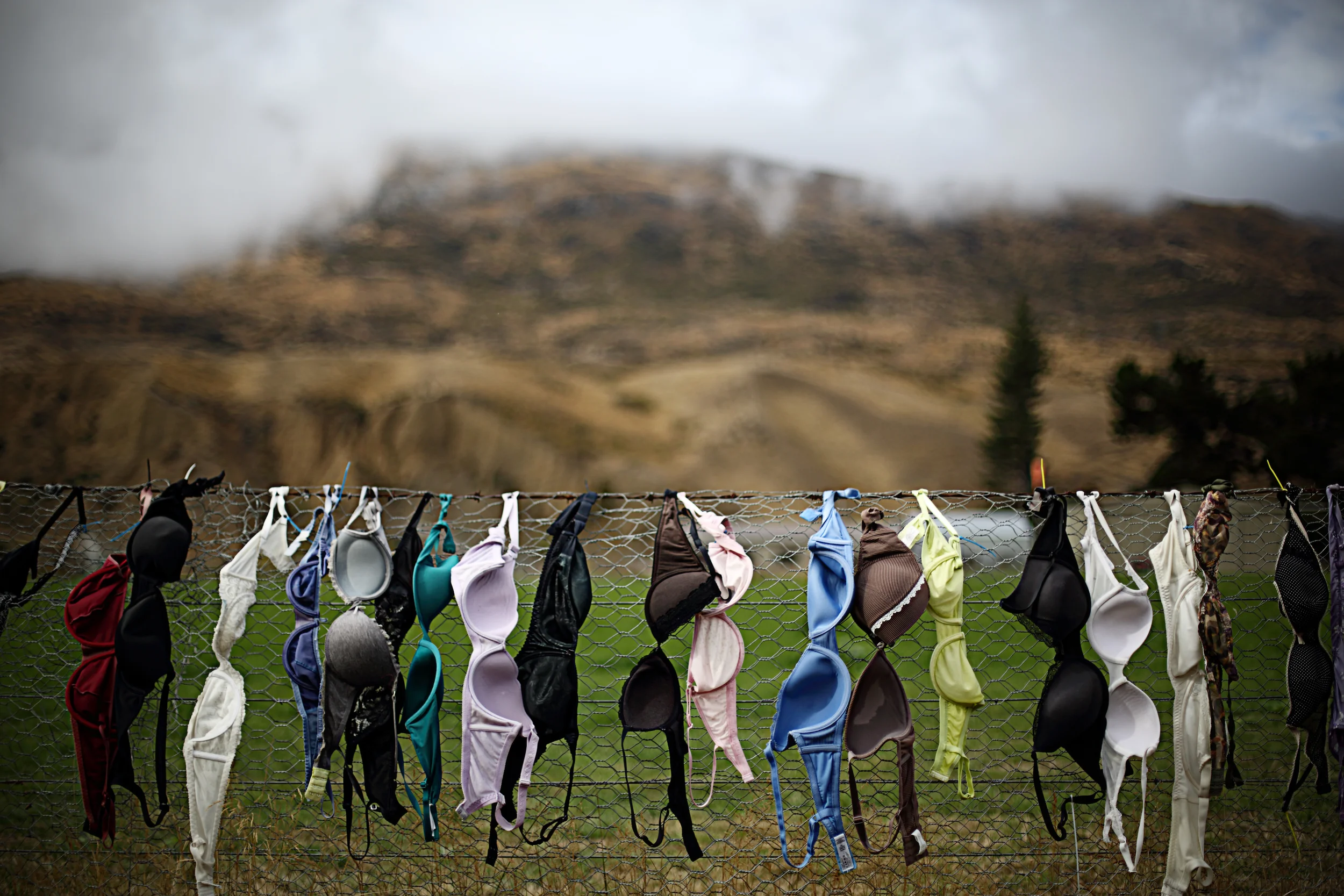 Wanaka (New Zealand) 2014