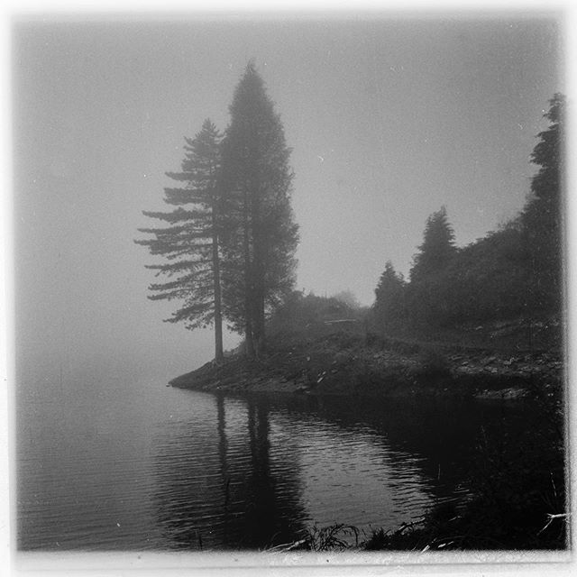 Lugares que son muy mágicos , pero que además son aún más mágicos porque sabes que para algunas personas son realmente importantes . .
.
.
.
.
rollei #ilfordfp4plus #6x6film #filmphotography #6x6 #medioformato #rolleicord #tlr #blackandwhitefilmphotography @lauramurga_fotografia #landscape #landscapefilmphotography