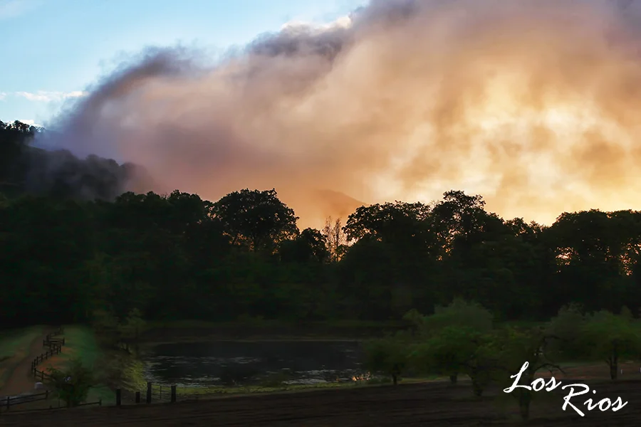 Los Rios Sunset2.jpg