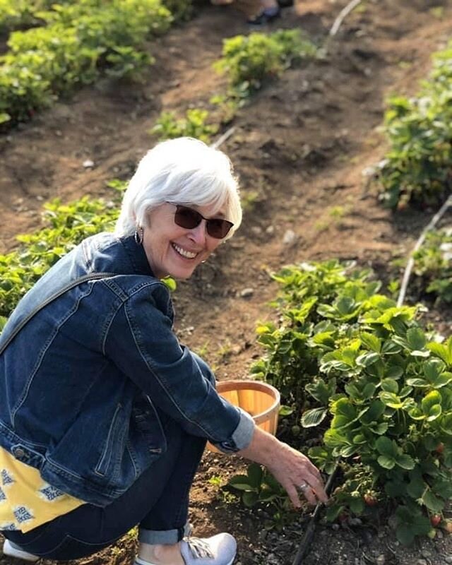 Looking for a bit of fresh air? Come u-pick your own strawberries 🍓this Saturday and Sunday 11:00-5:00. @rileysatlosrios 
#upickfruit #strawberries #optoutside #freshair #organicgardening 
PC: @colinmansfield