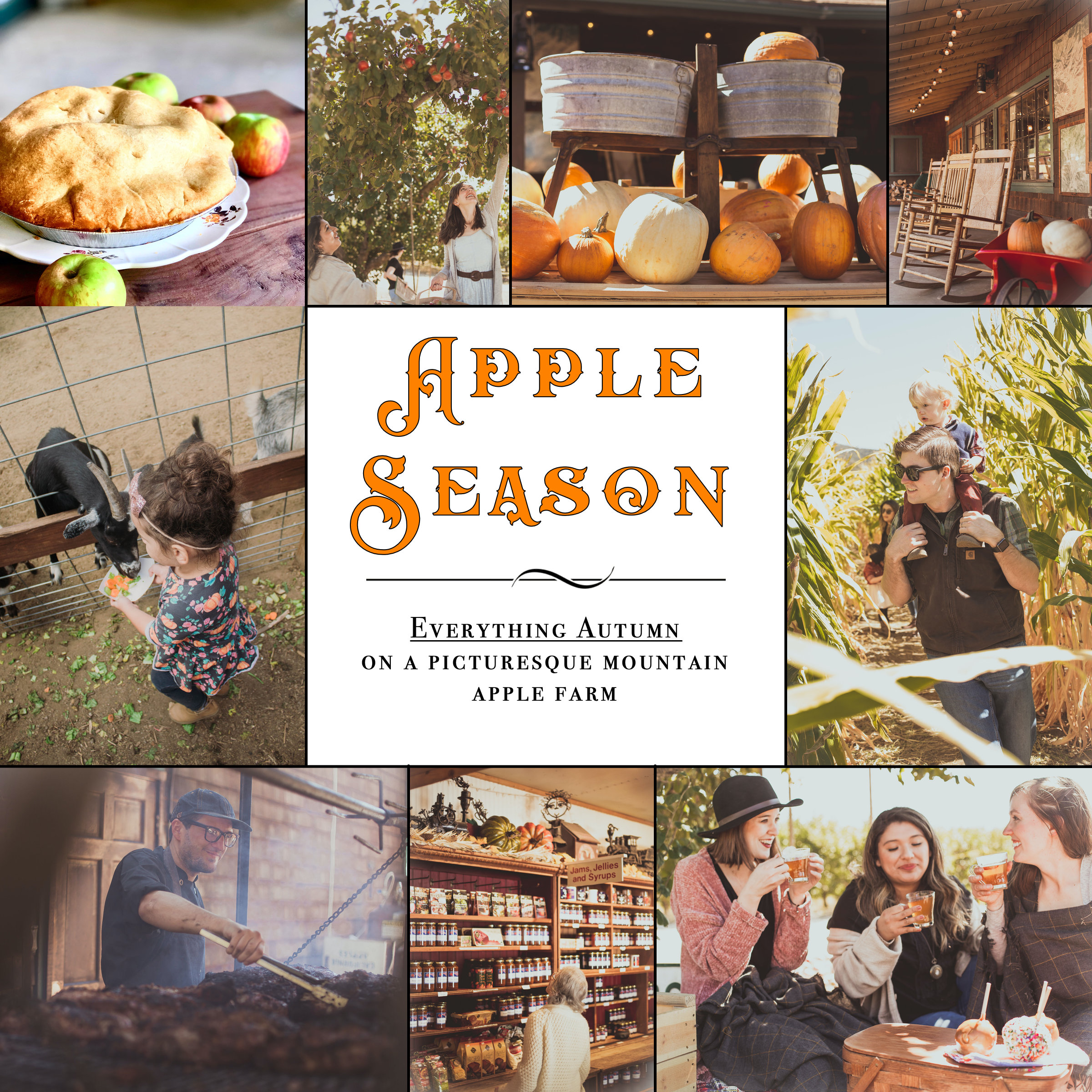 Apple Season .png