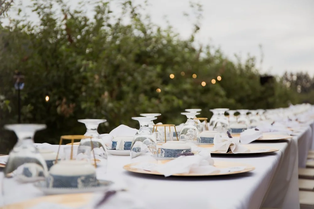 A look at our Farm-to-Table dinner 