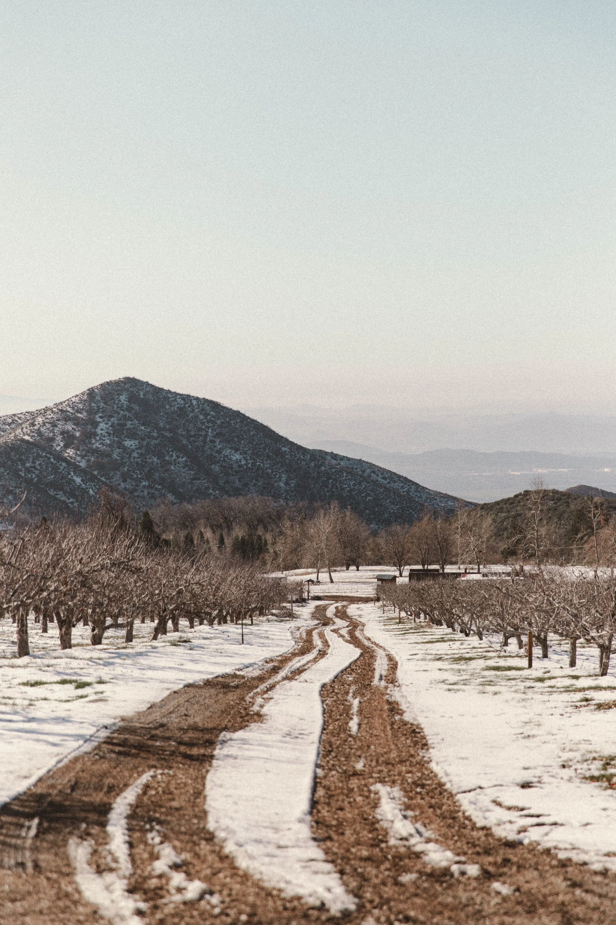 Winter on the Ranch 