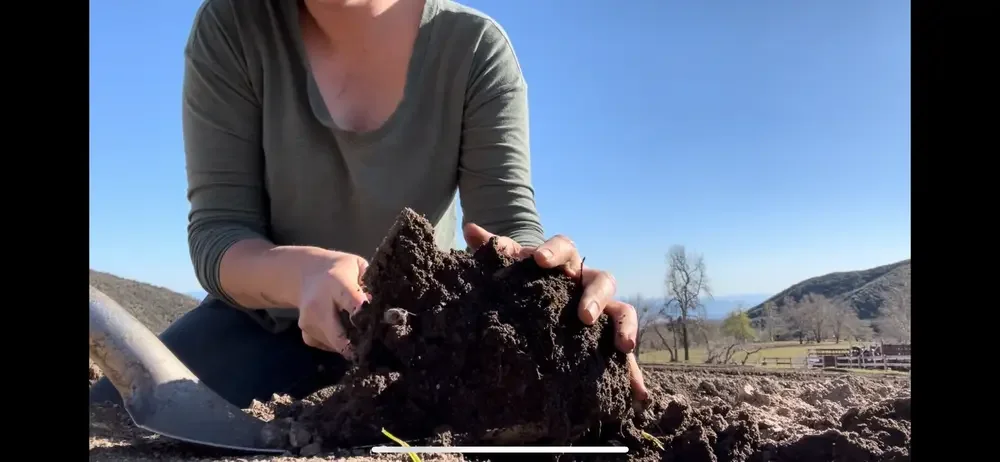 Soil Care-Strawberry Days