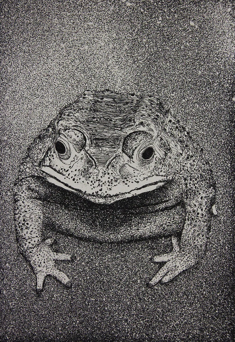 1200finalCarrierToad.jpg
