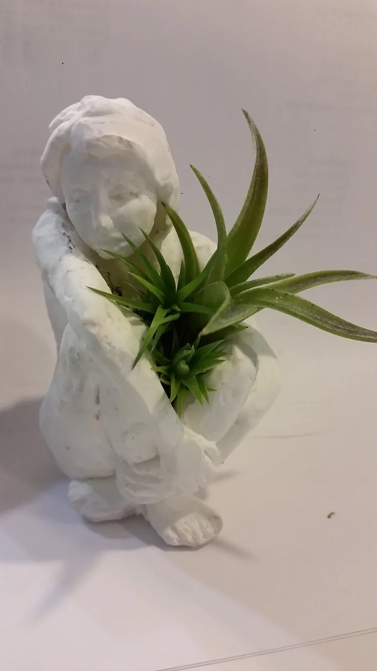 'Countenance', Plaster and Tillandsia (air plant) by Lauren Goldstein