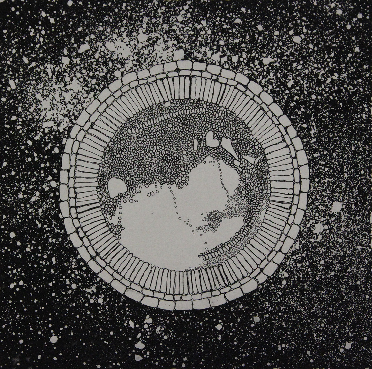 CP14 Intaglio Print by Evan Summer