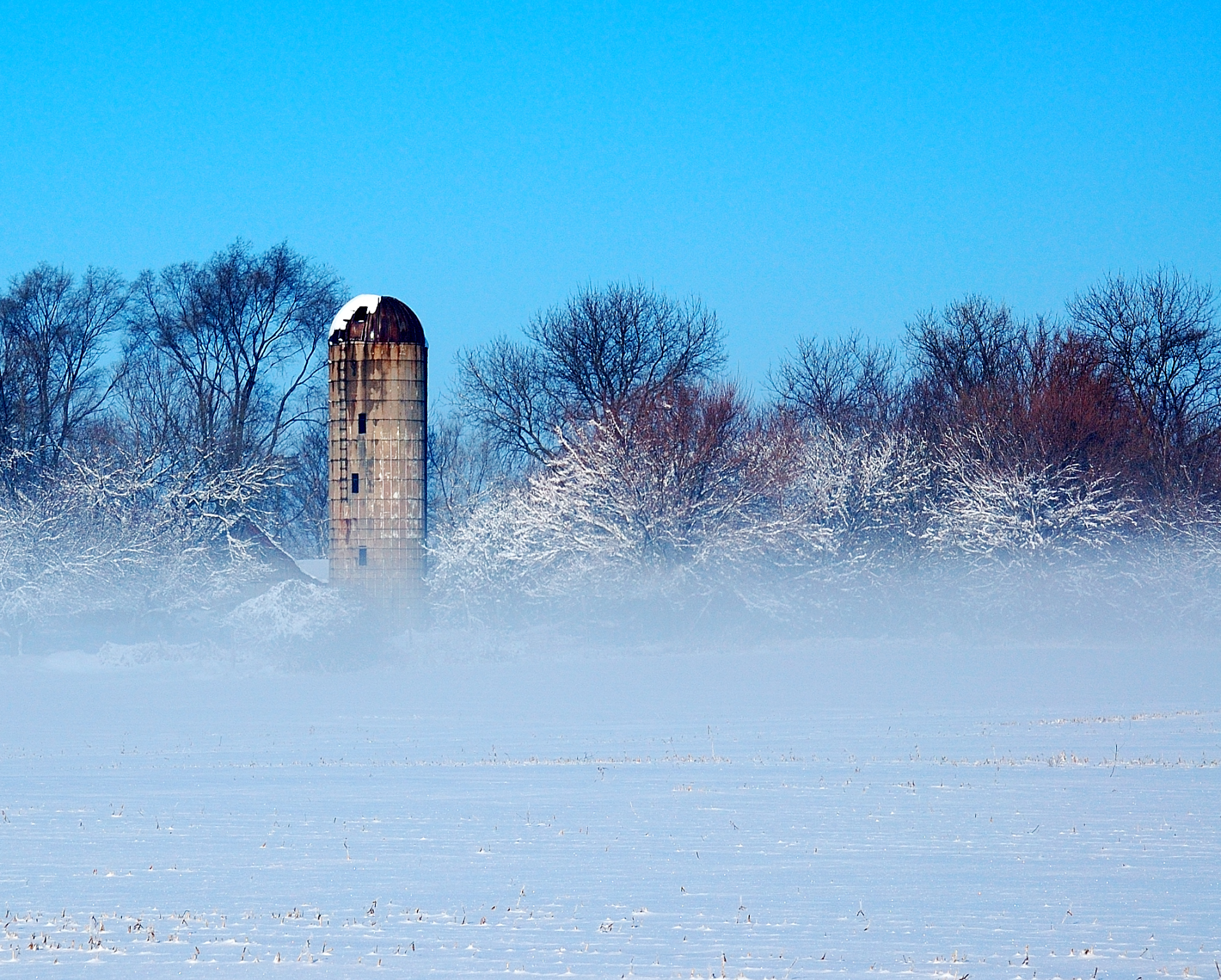 Winter Woodstock Blue.jpg