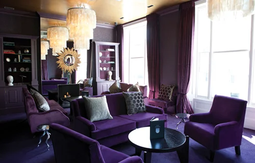 Purple Reign.jpg
