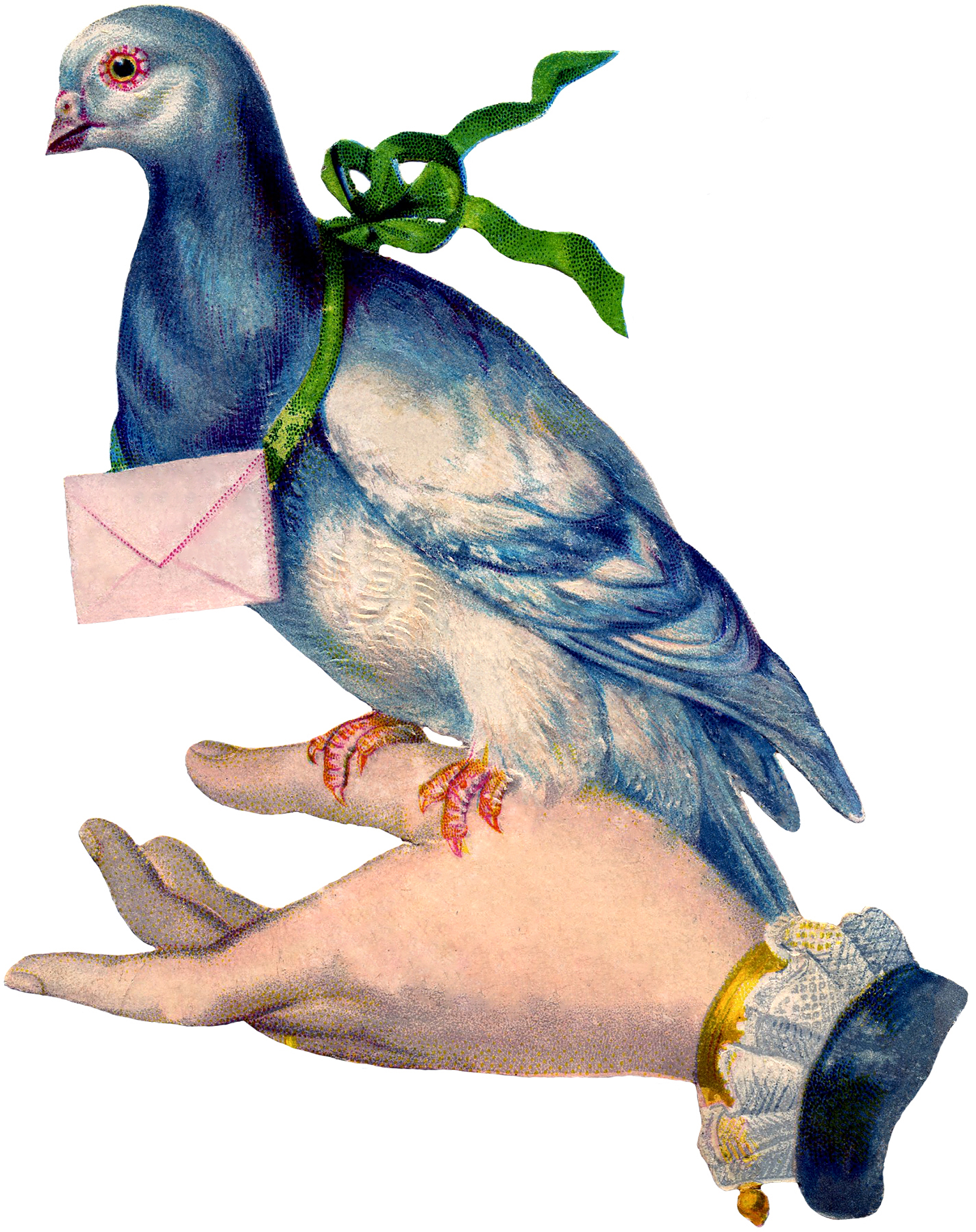 carrier pigeon.jpg