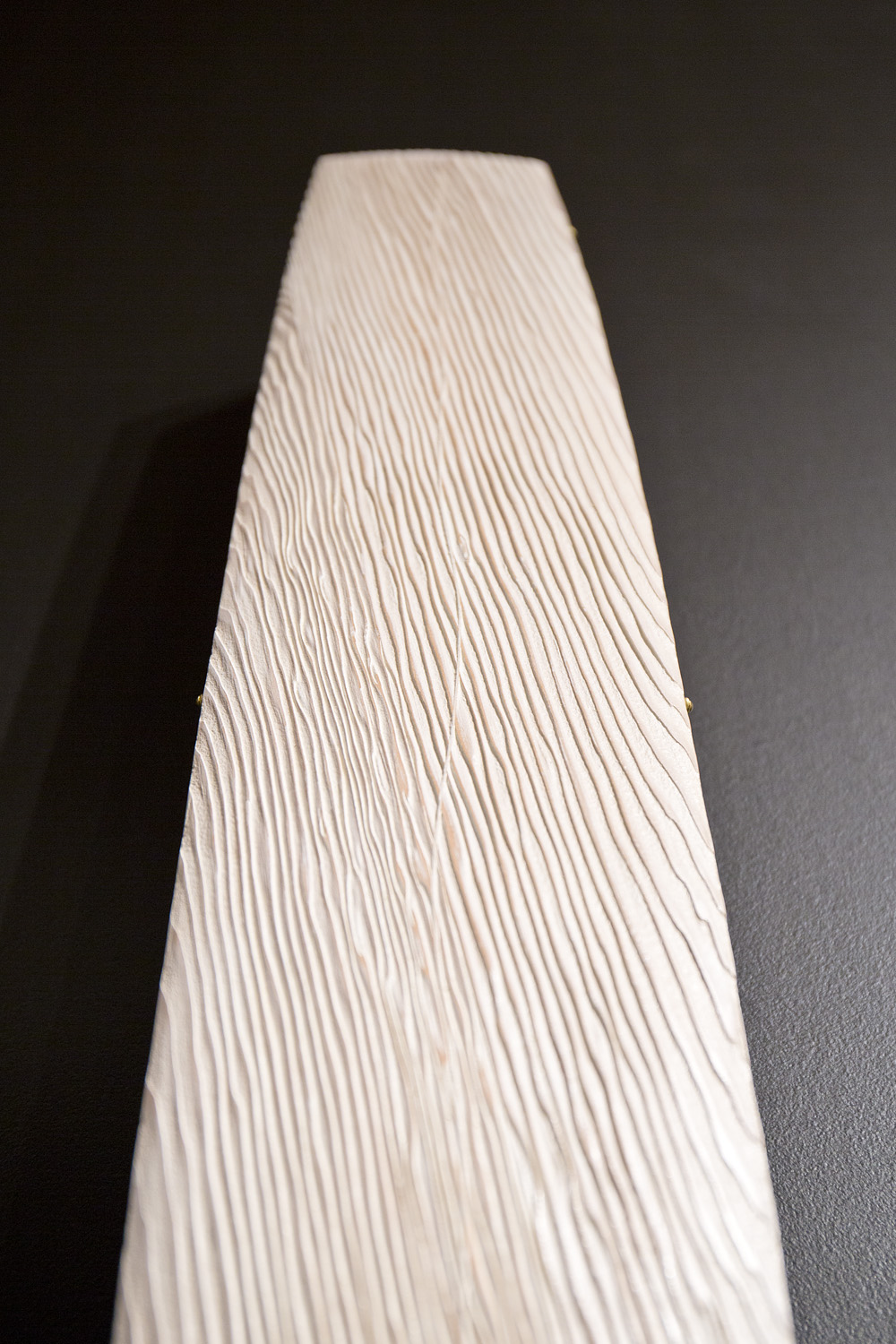 100 year ark detail2.jpg