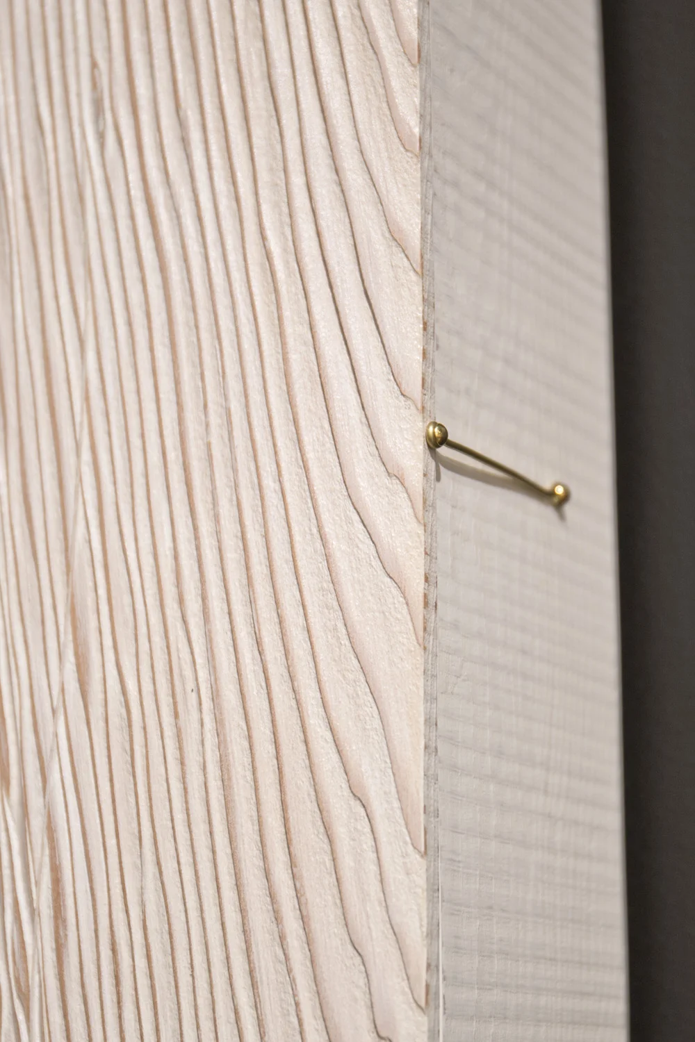 100 year ark detail.jpg