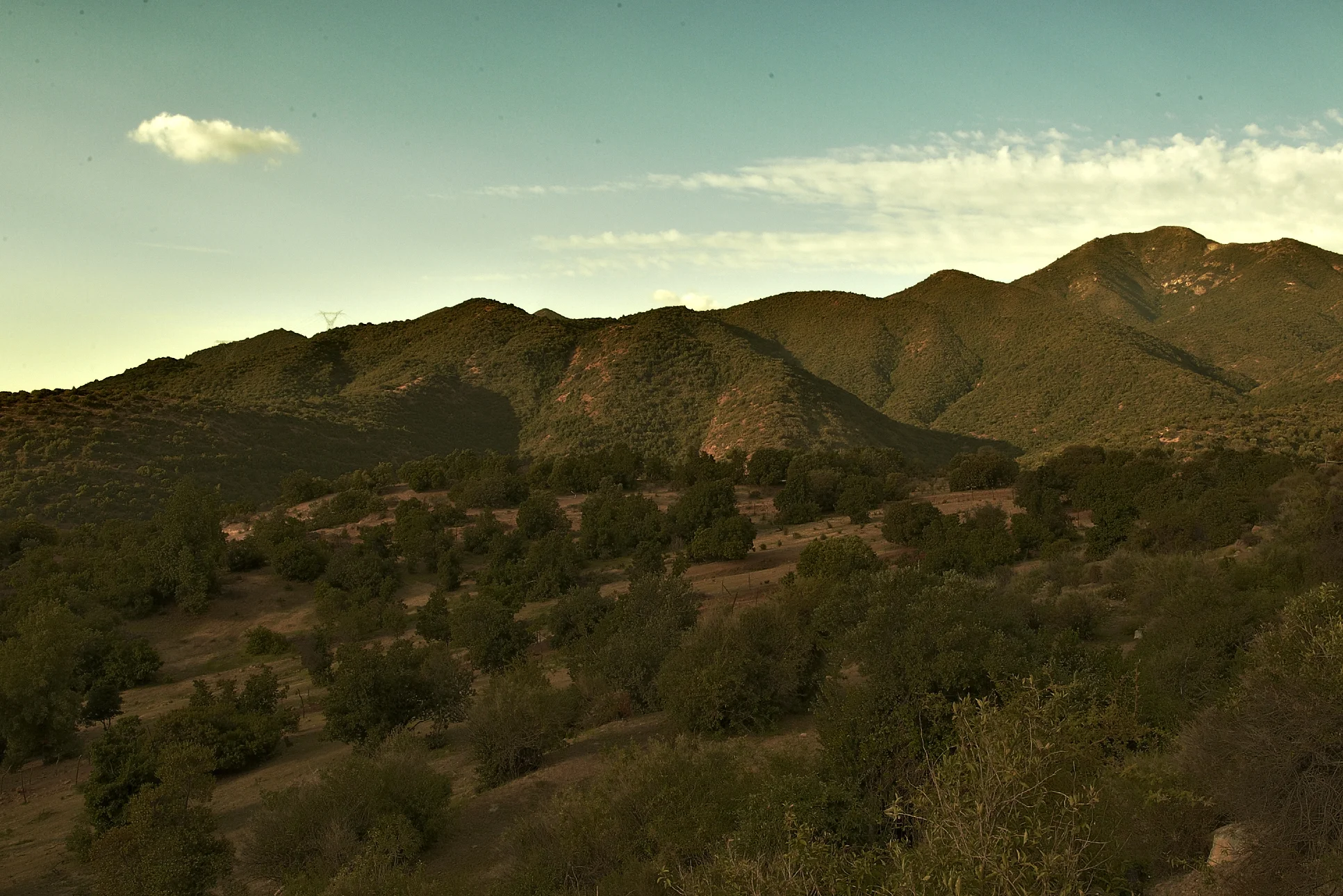 el-08693.jpg