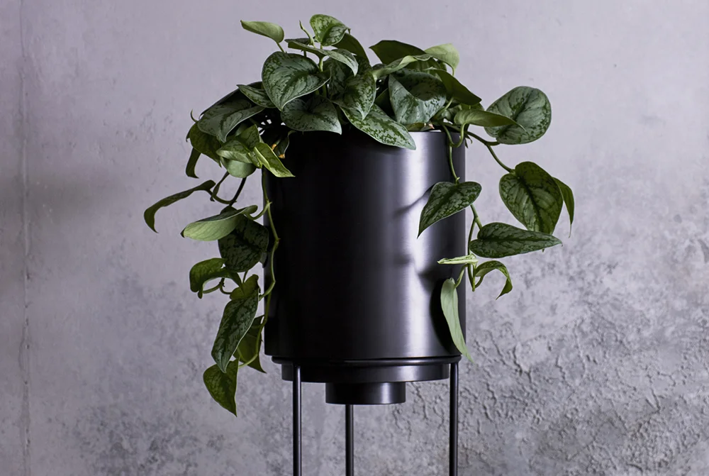 ak-layered-planters-04.jpg