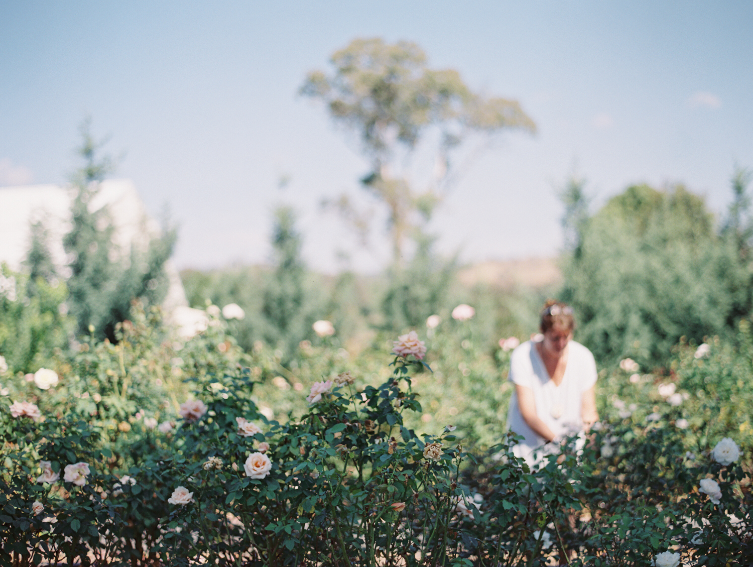 Oh Flora Getaway by Kylie Mills Photography-17.jpg